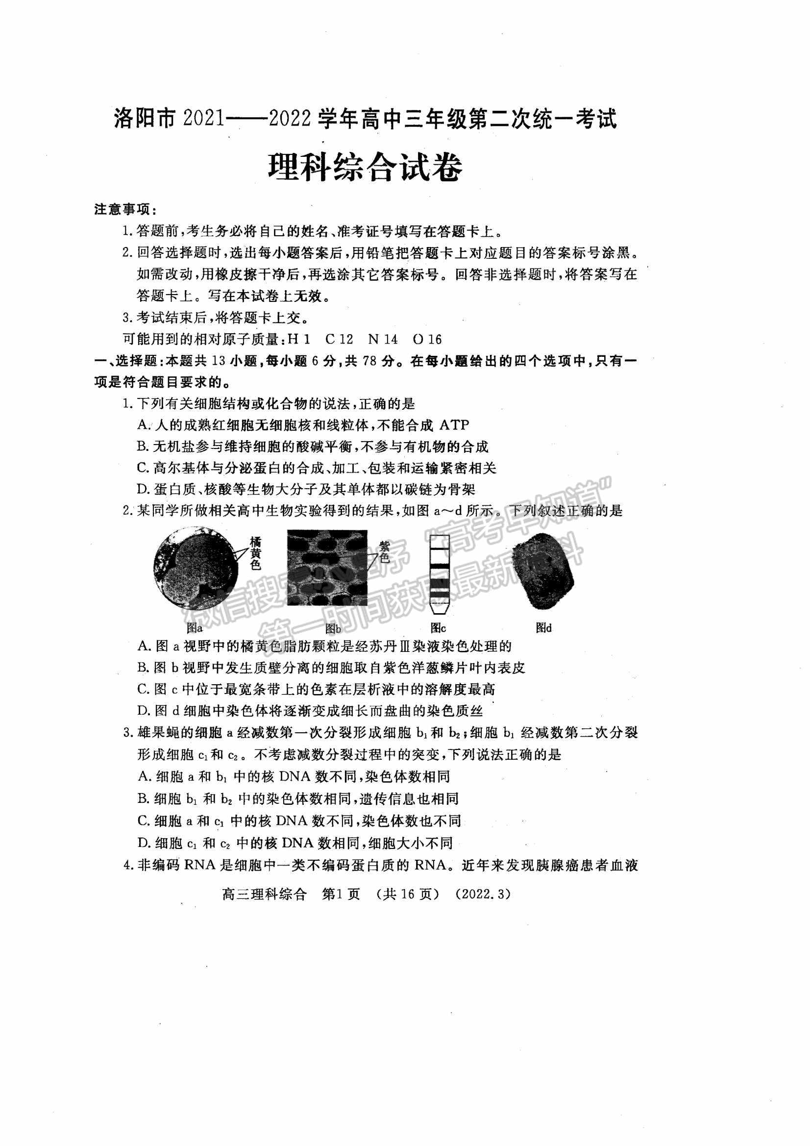 2022洛陽高三二練理綜試卷及參考答案