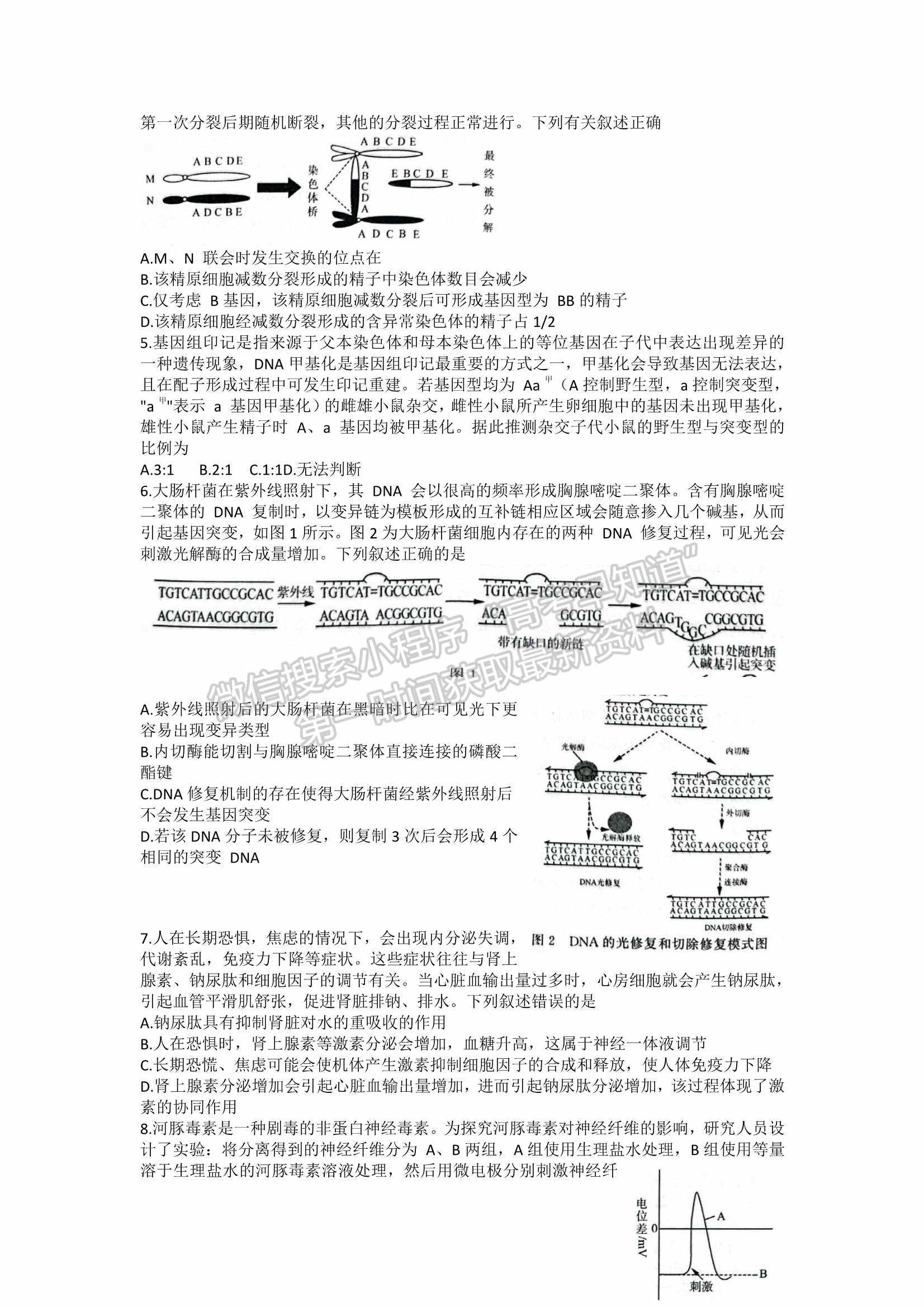 2022屆山東省濟(jì)南市高三3月高考模擬考試（一模）生物試題及參考答案