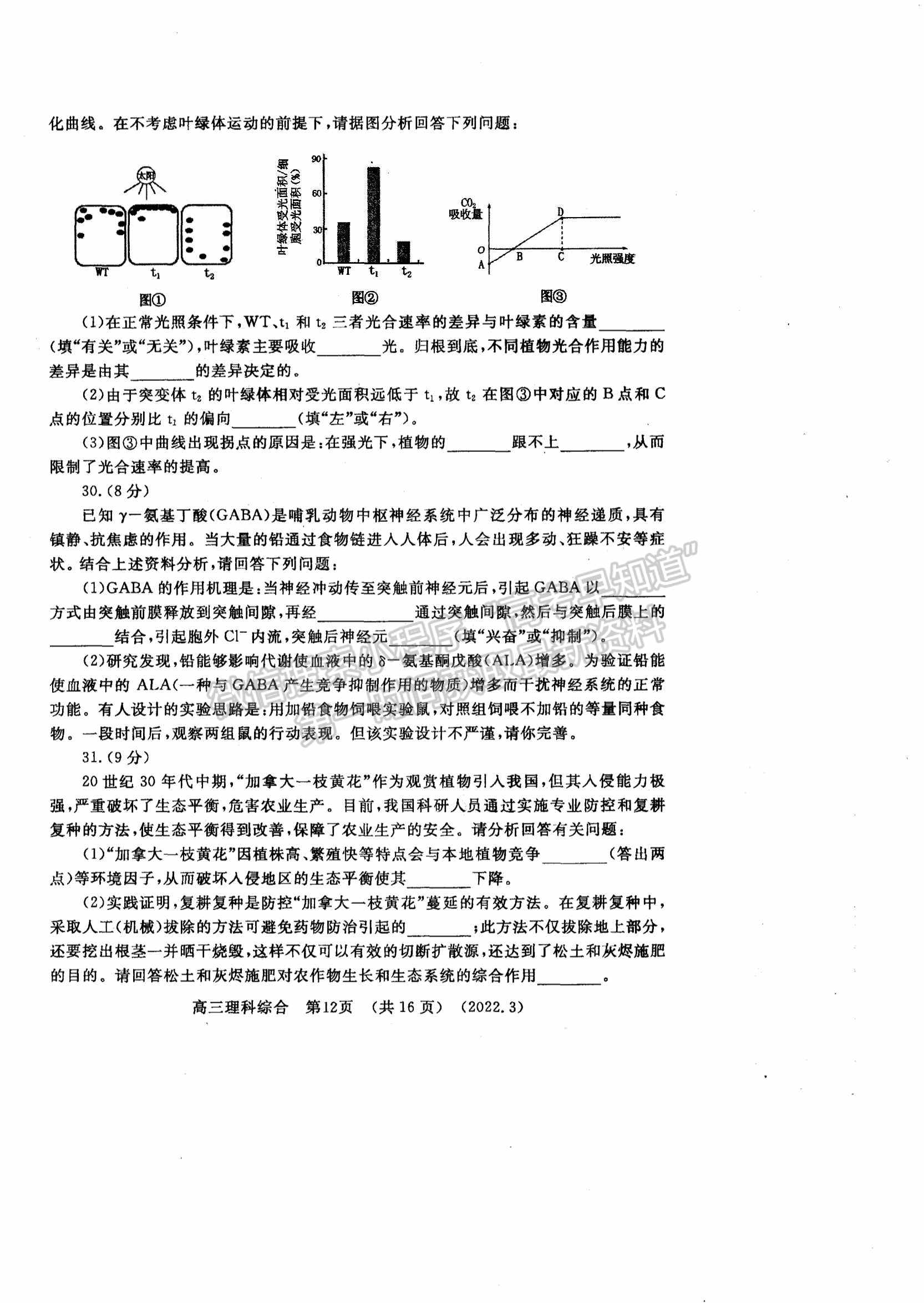 2022洛陽高三二練理綜試卷及參考答案