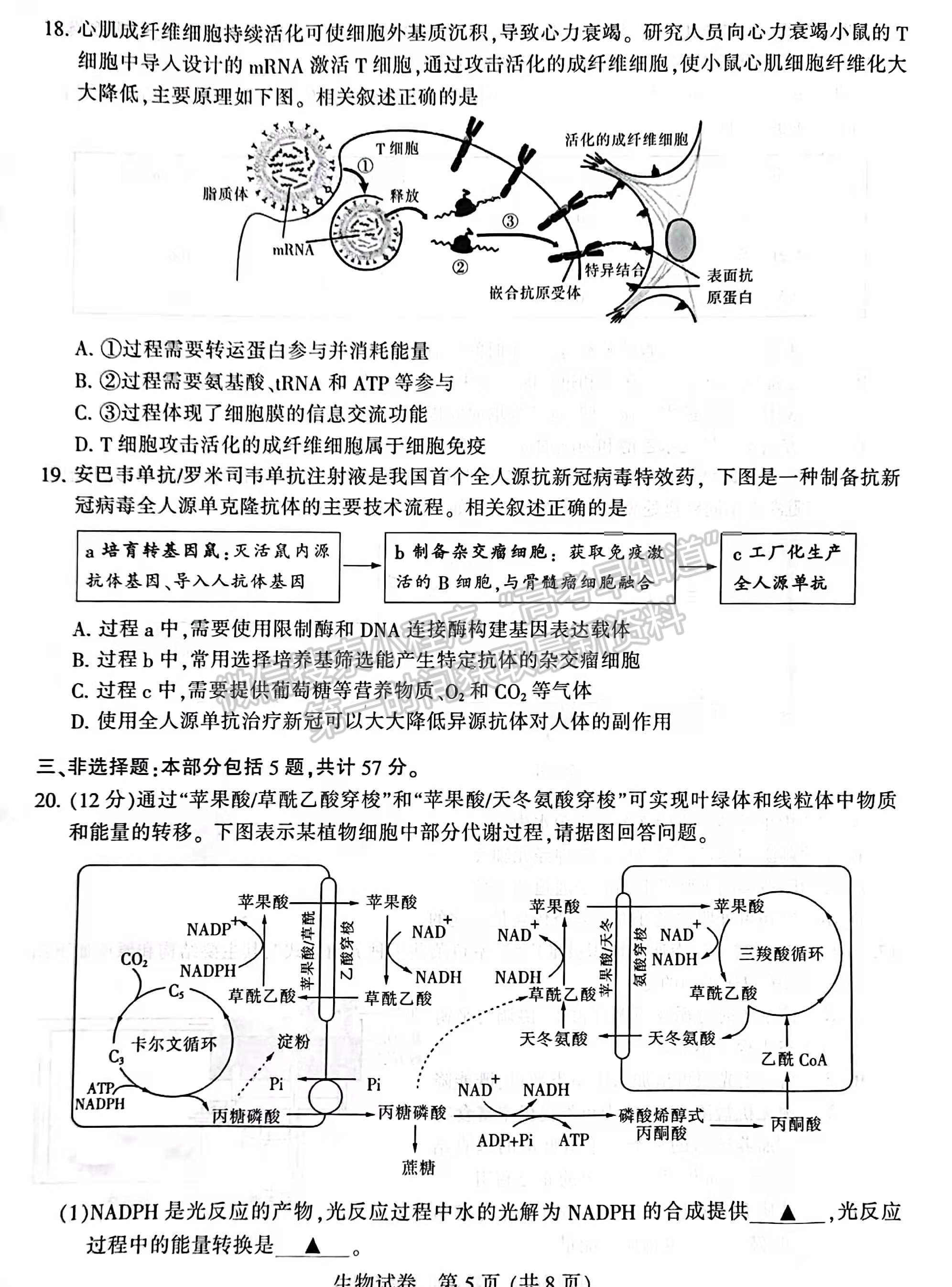 2022屆蘇北七市高三第二次調(diào)研（南通二模）生物試題及答案