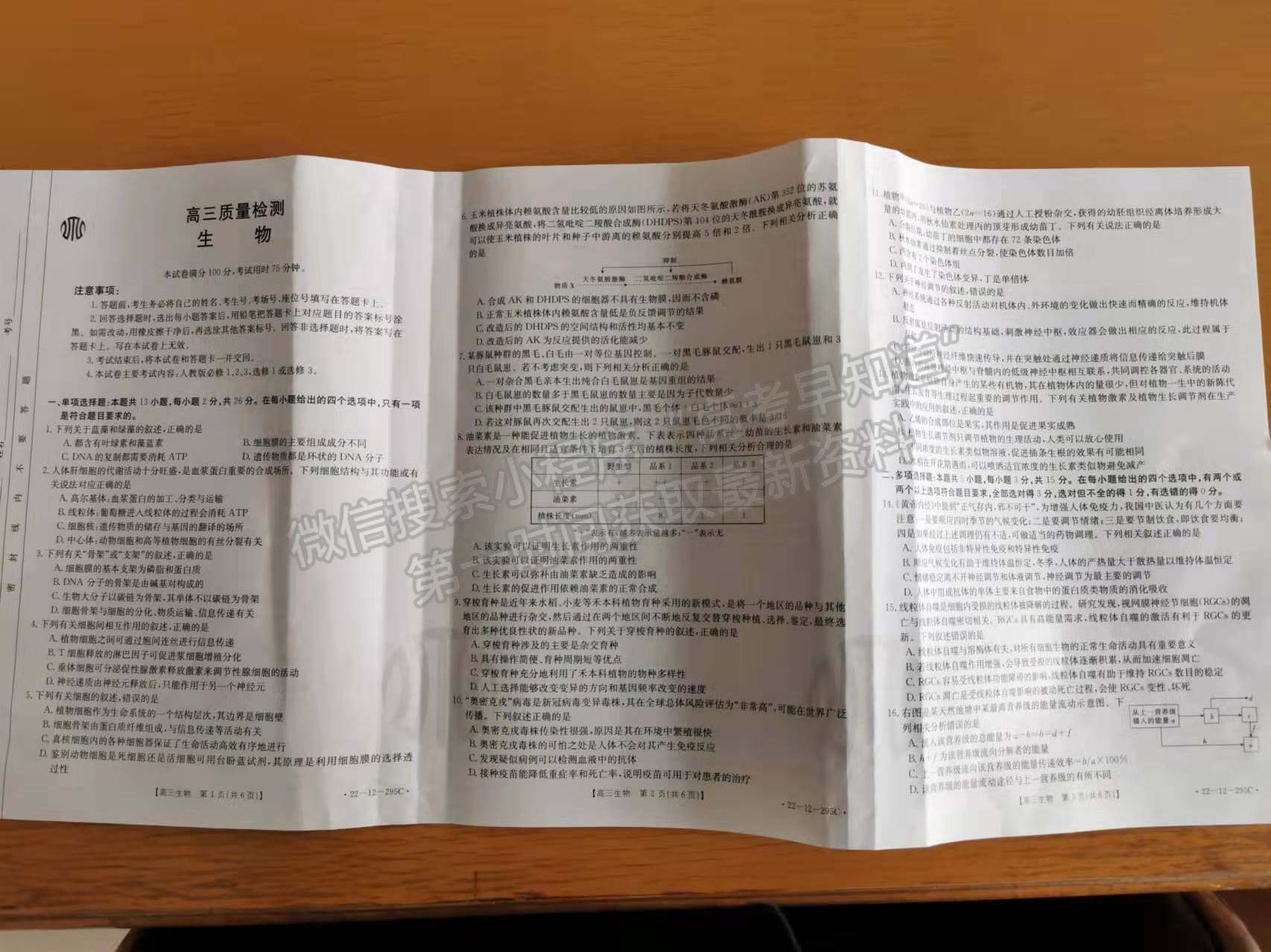 2022年3月廊坊市省級示范性高中聯(lián)合體2022屆高三下學期第一次聯(lián)考生物試卷答案