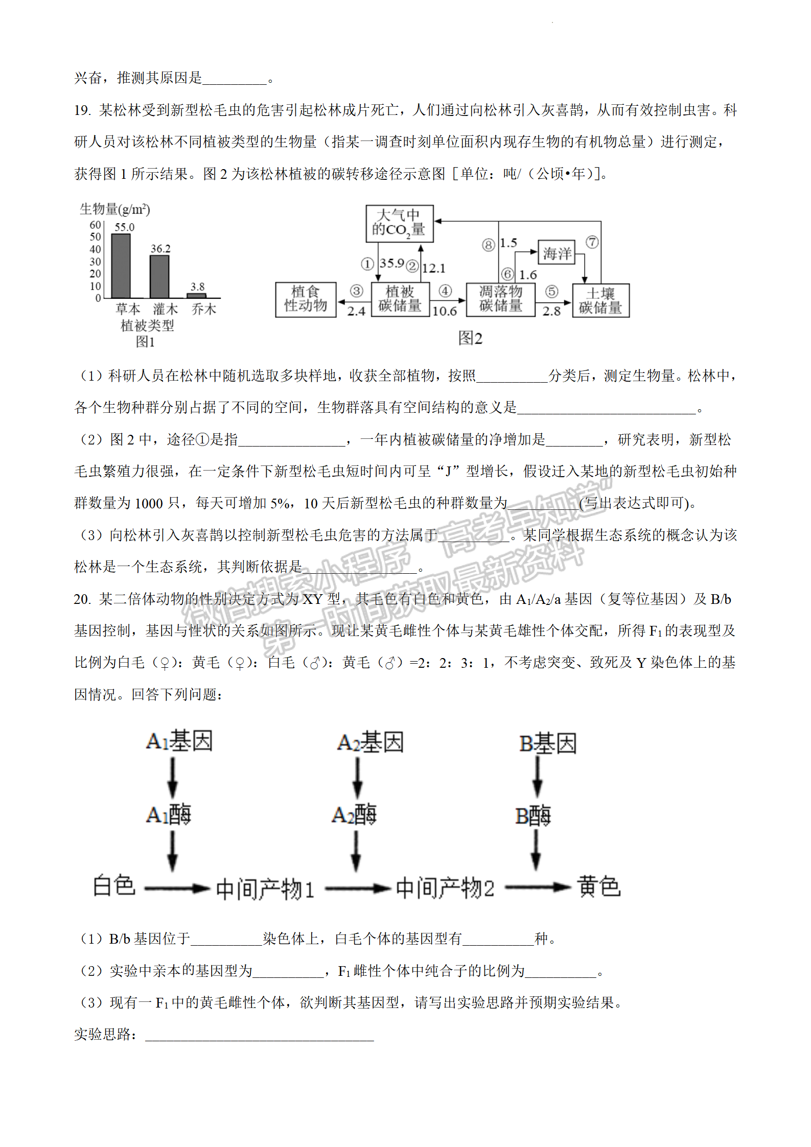 2022揭豐高三3月聯(lián)考生物試題及參考答案