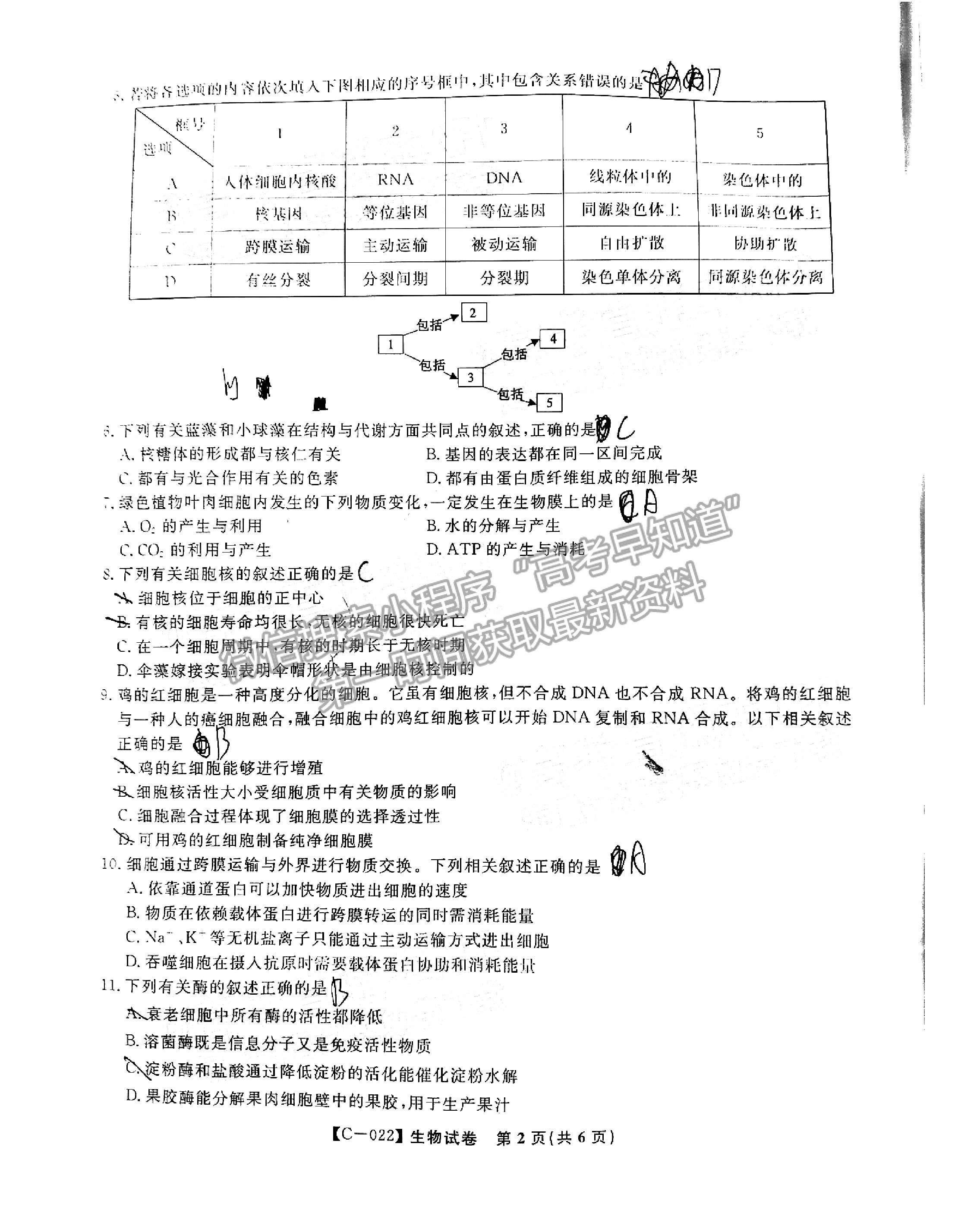 2022江西省九江市十校高三第一次聯(lián)考11月生物試卷及參考答案