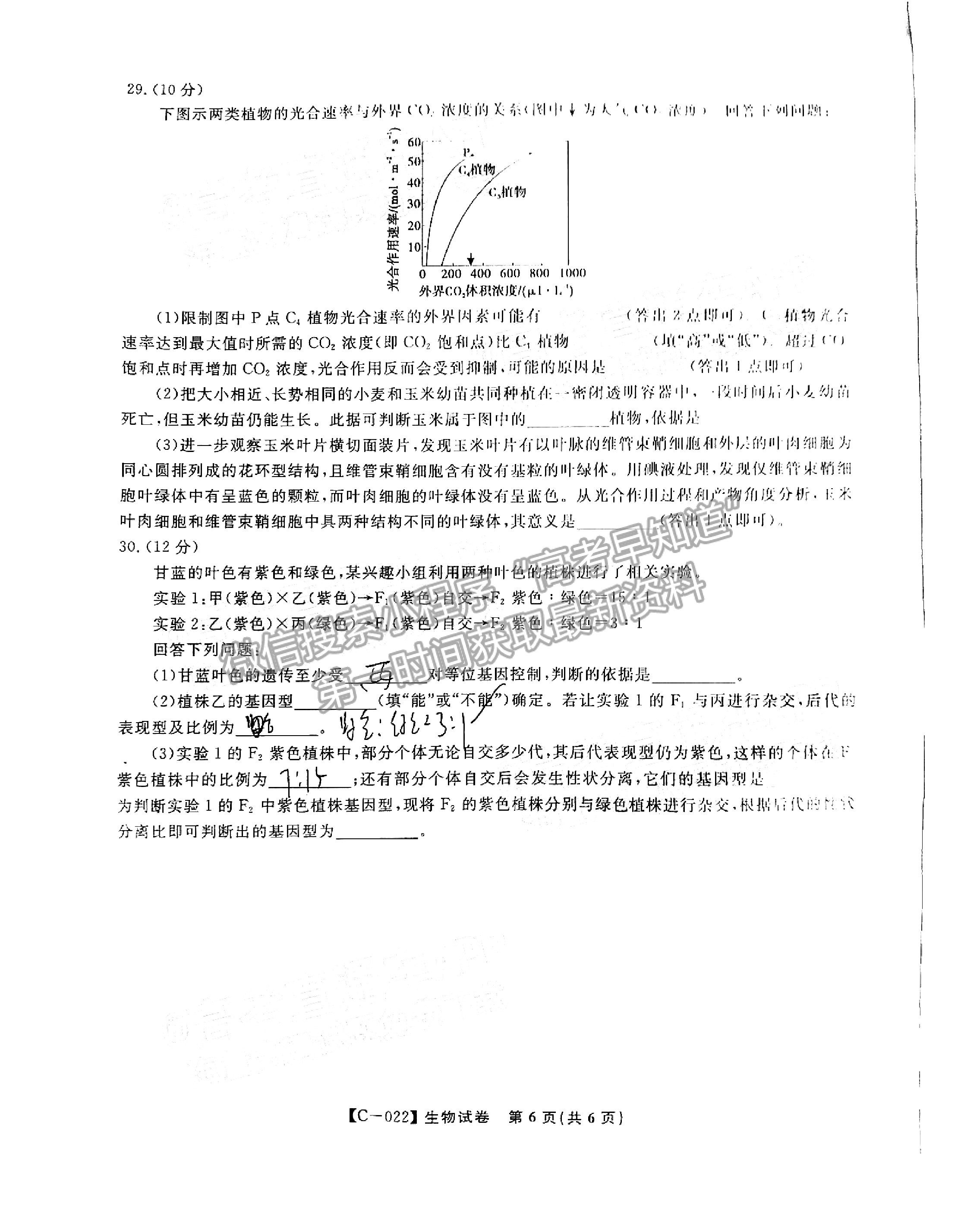 2022江西省九江市十校高三第一次聯(lián)考11月生物試卷及參考答案