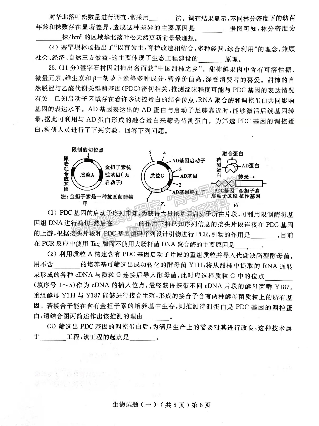 2022屆山東省聊城市高三一模生物試題及參考答案