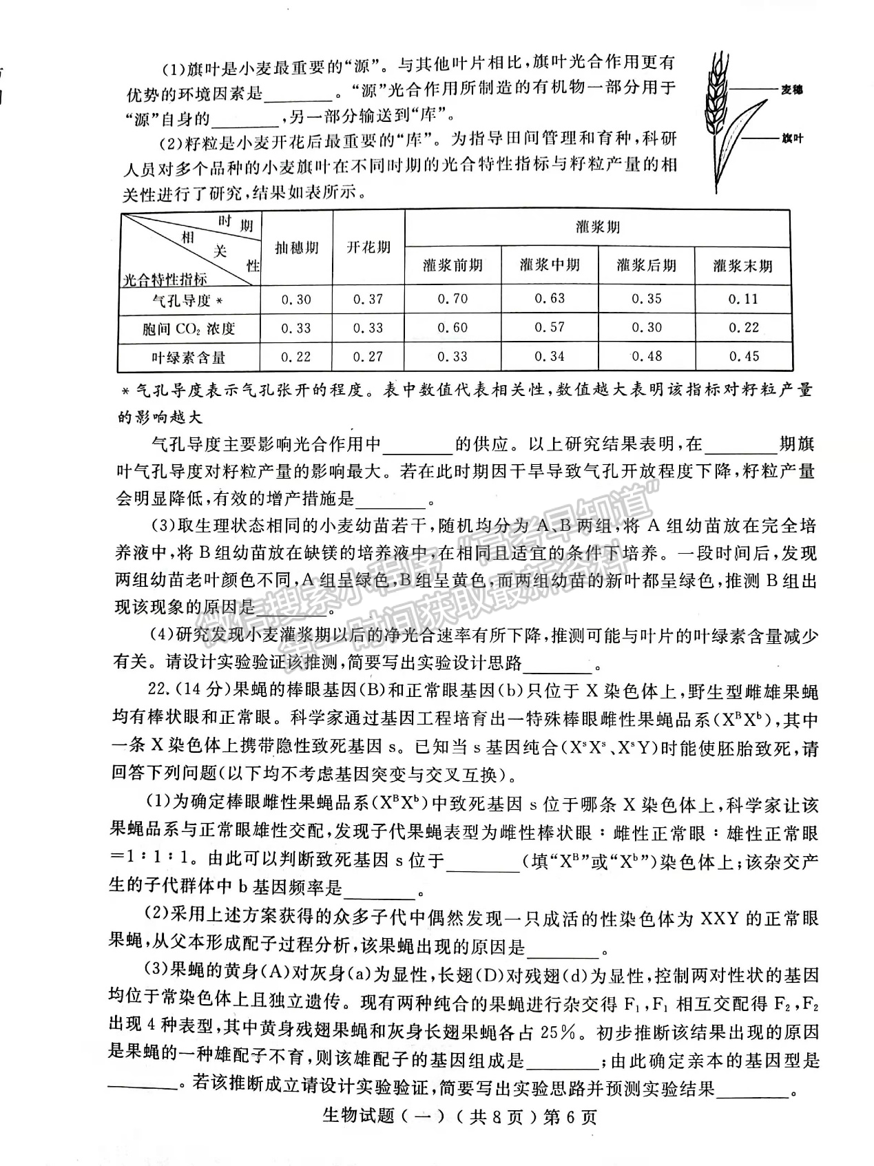 2022屆山東省聊城市高三一模生物試題及參考答案