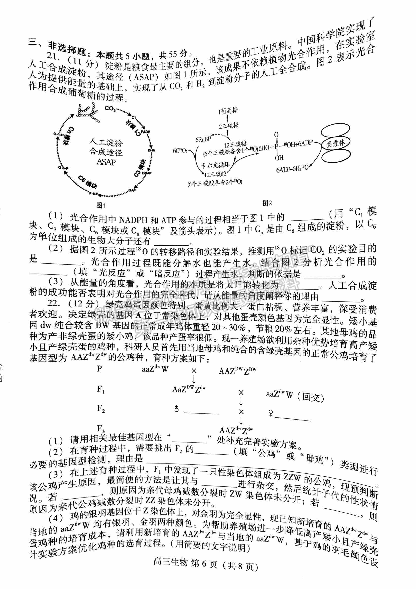 山東省濰坊市2022屆高三下學(xué)期高中學(xué)科核心素養(yǎng)測評生物試題及參考答案