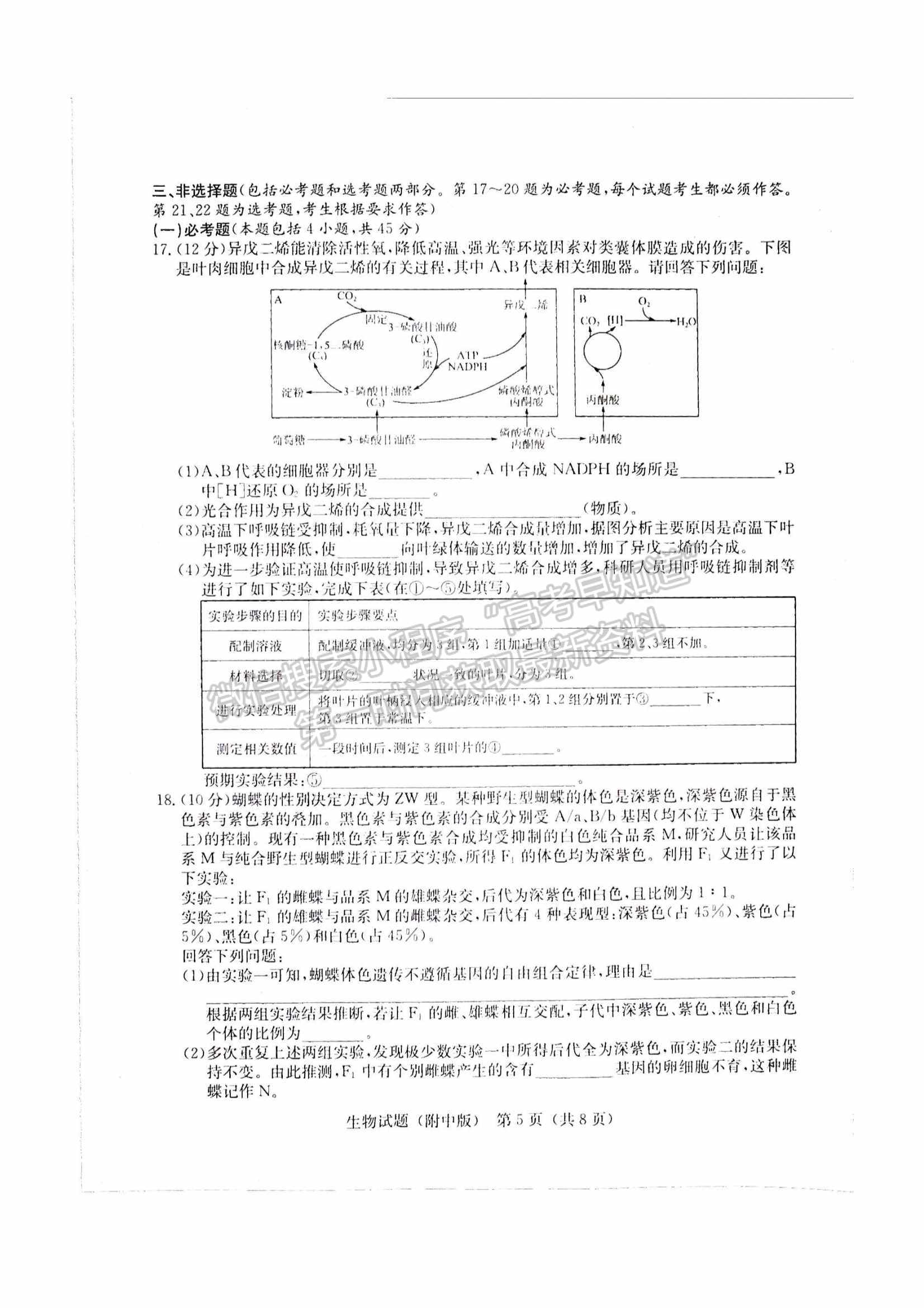 2022湖南師大附中高三下學(xué)期高考模擬（一）生物試卷及答案