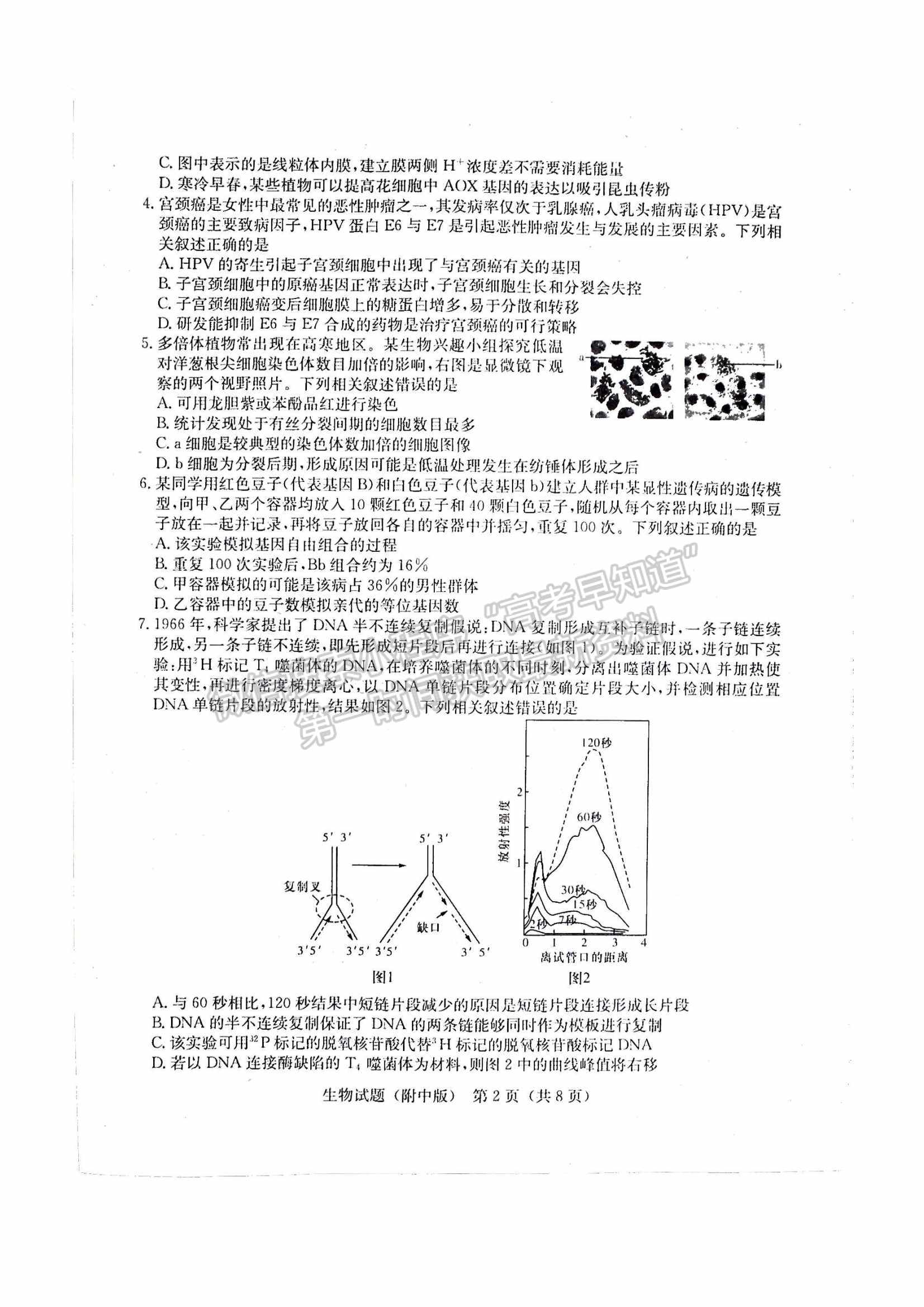 2022湖南師大附中高三下學期高考模擬（一）生物試卷及答案