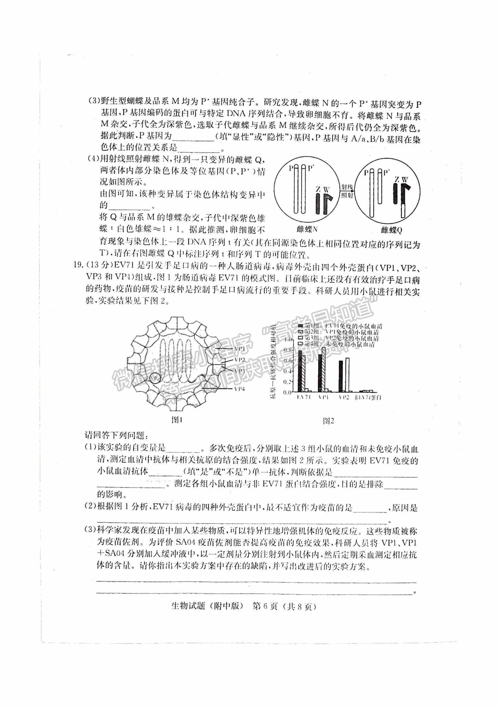 2022湖南師大附中高三下學(xué)期高考模擬（一）生物試卷及答案