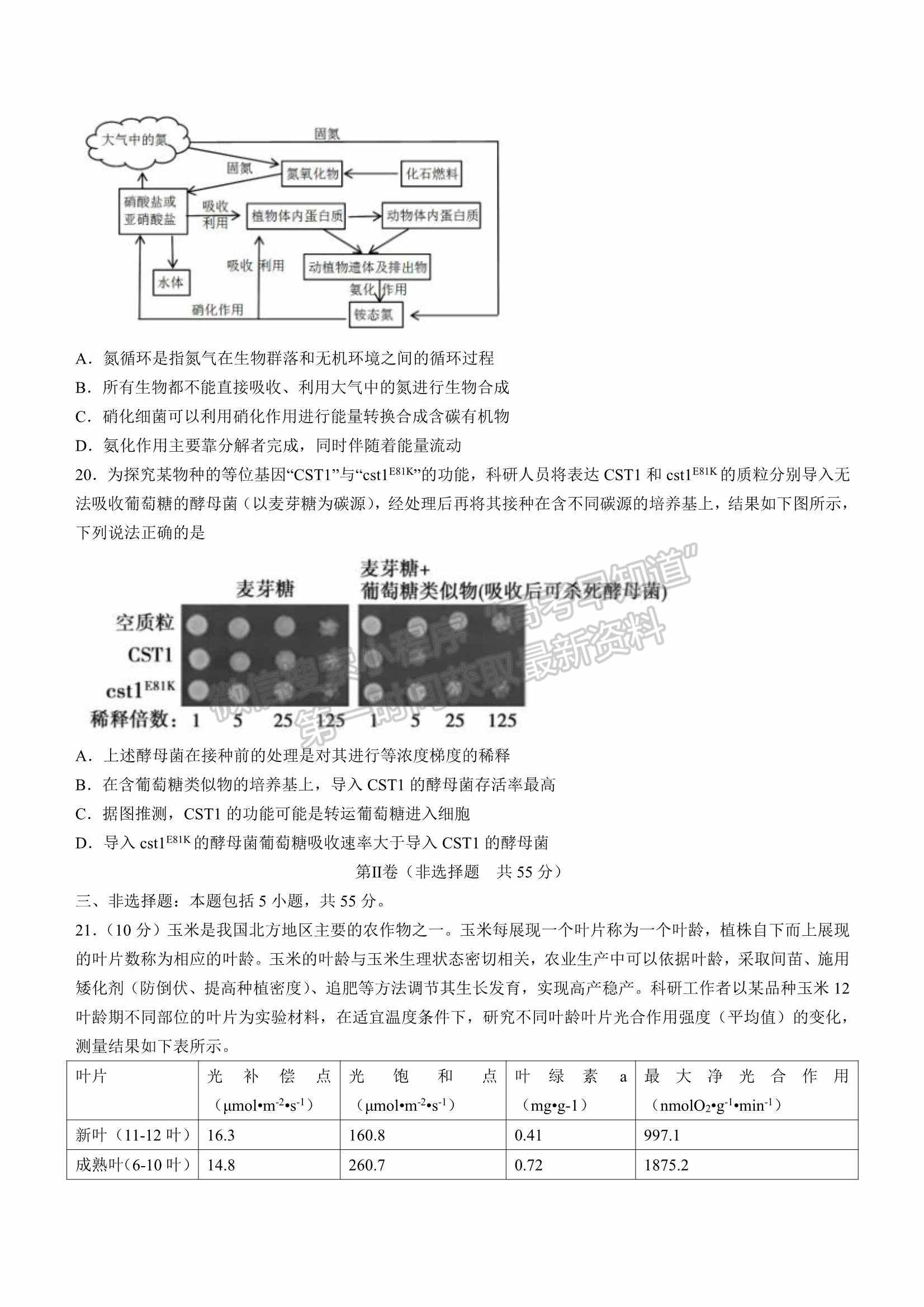 山東省2022屆青島高三一模練習(xí)卷生物試題及參考答案