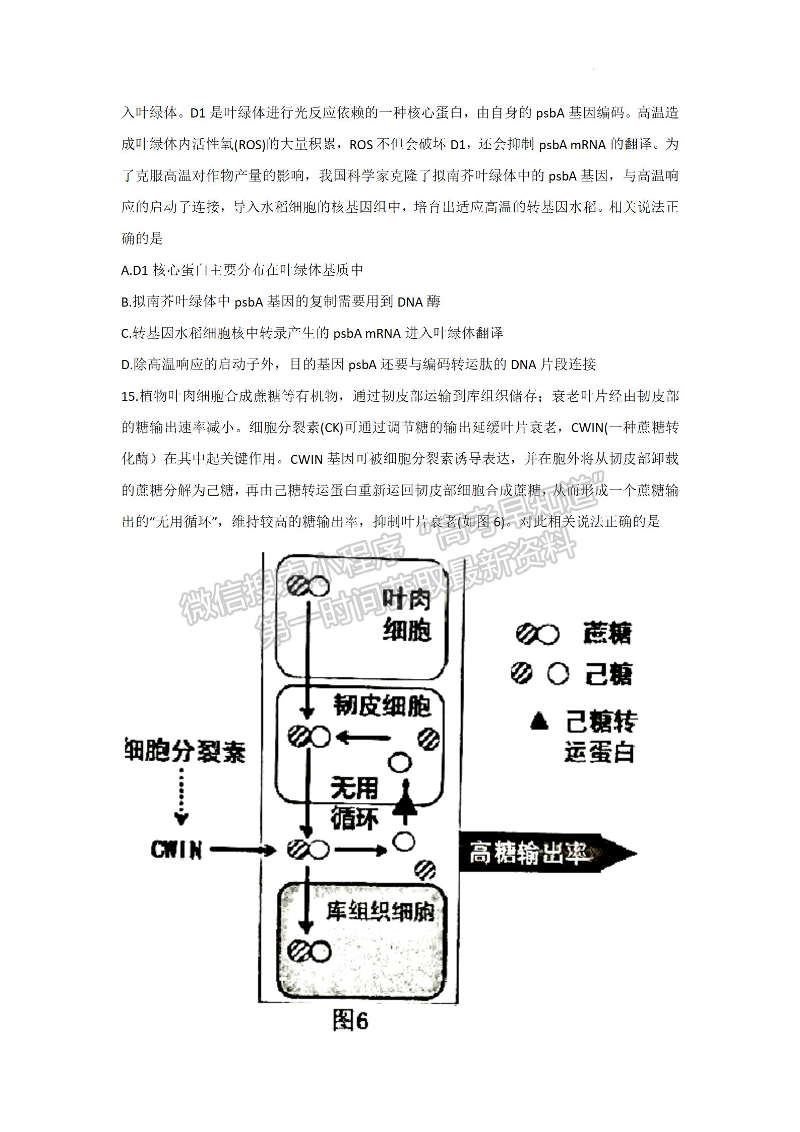 2022廣東佛山二模生物試題及參考答案