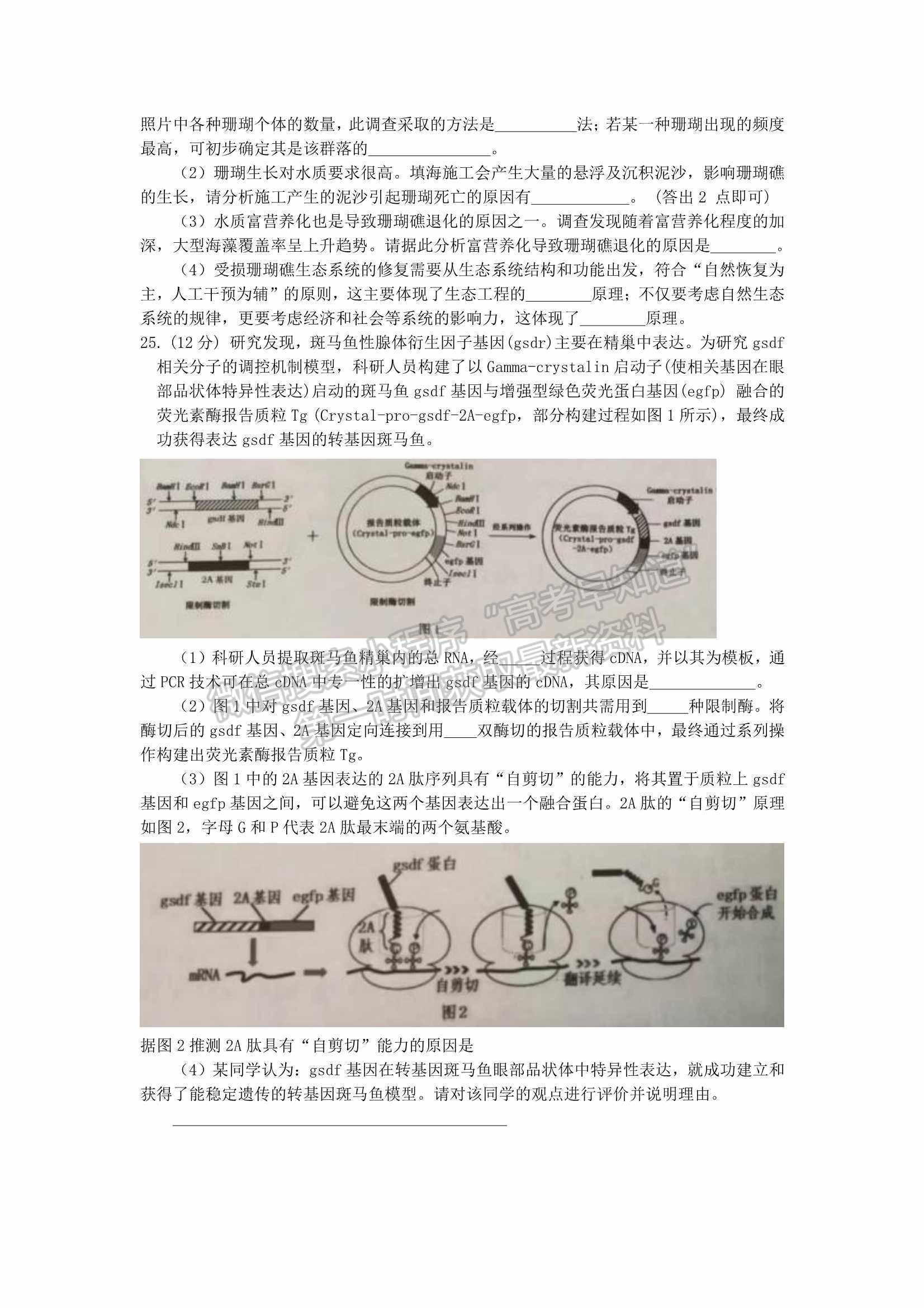 2022屆山東省青島市高三統(tǒng)一質(zhì)量檢測（一模）生物試題及參考答案