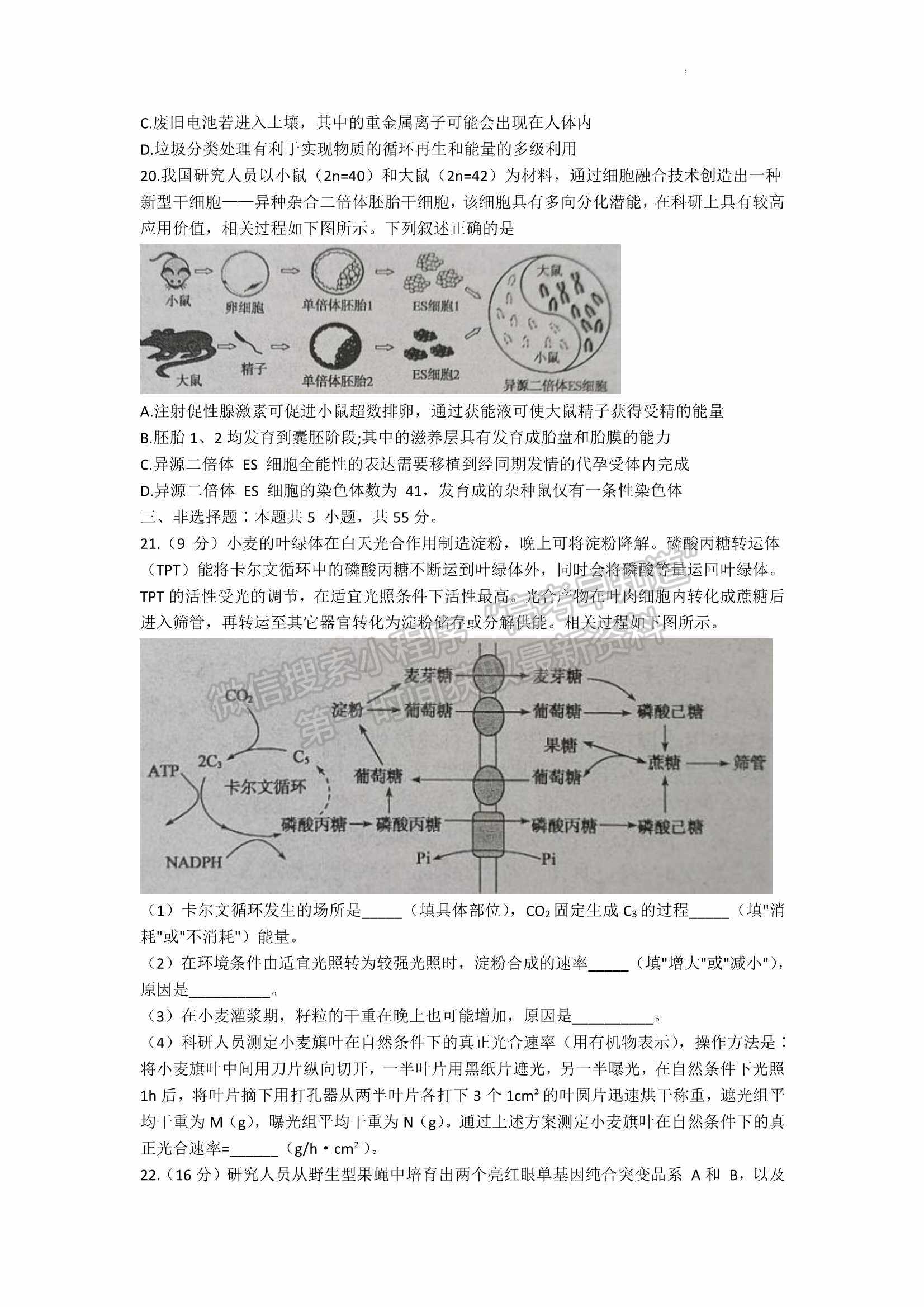 2022屆山東省棗莊二調高三下學期?？忌镌囶}及參考答案