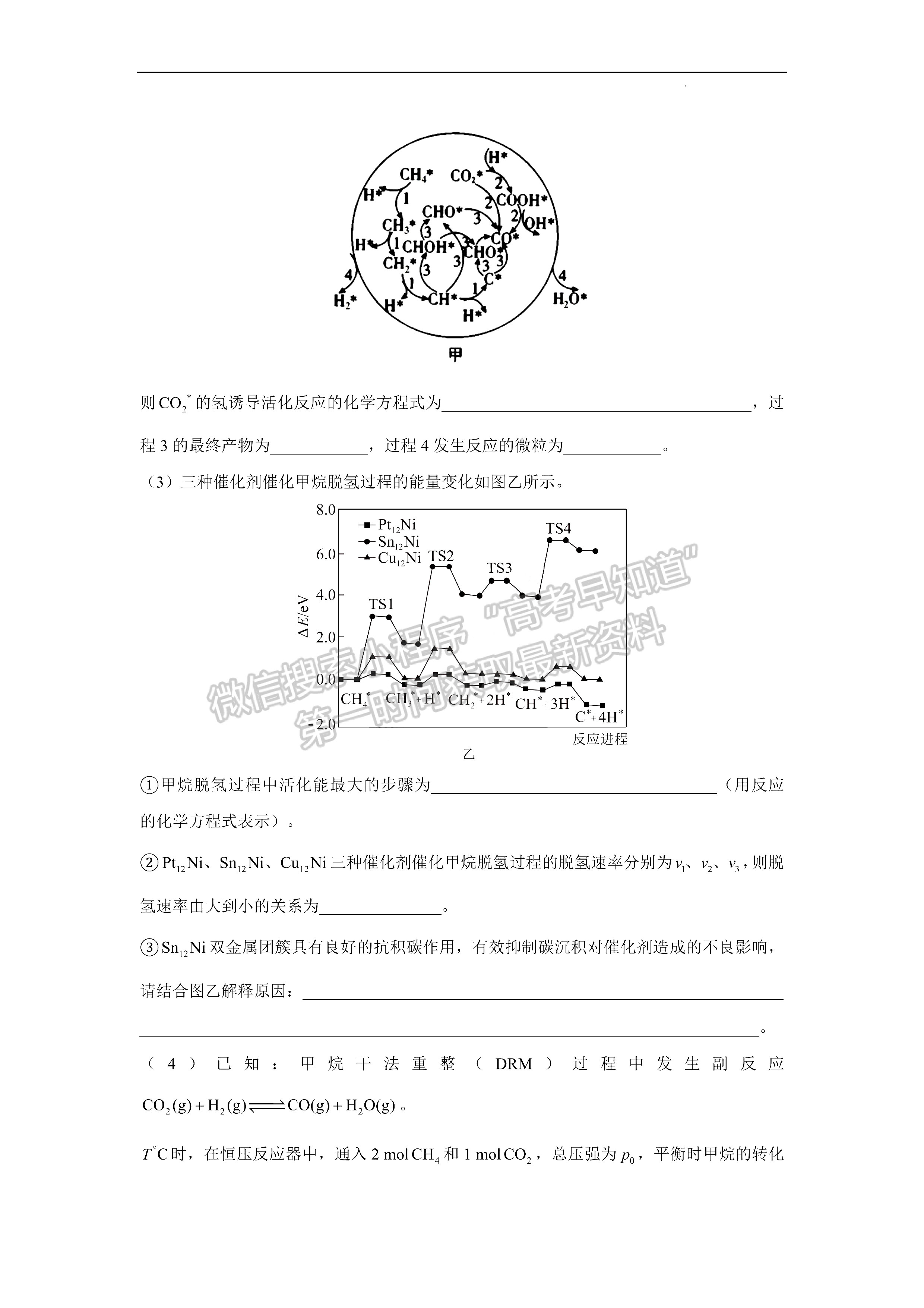 2022屆安徽高考核心猜題卷（全國(guó)卷）理綜試卷及答案