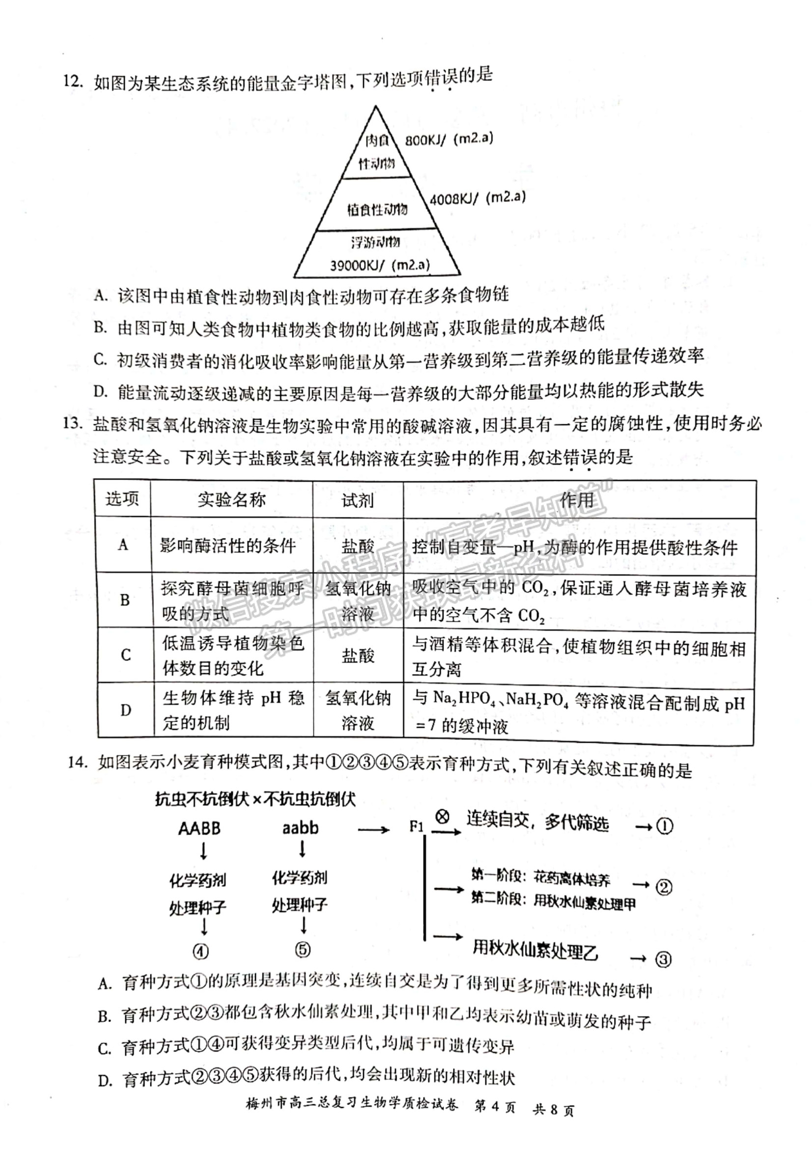 2022廣東梅州二模生物試題及參考答案