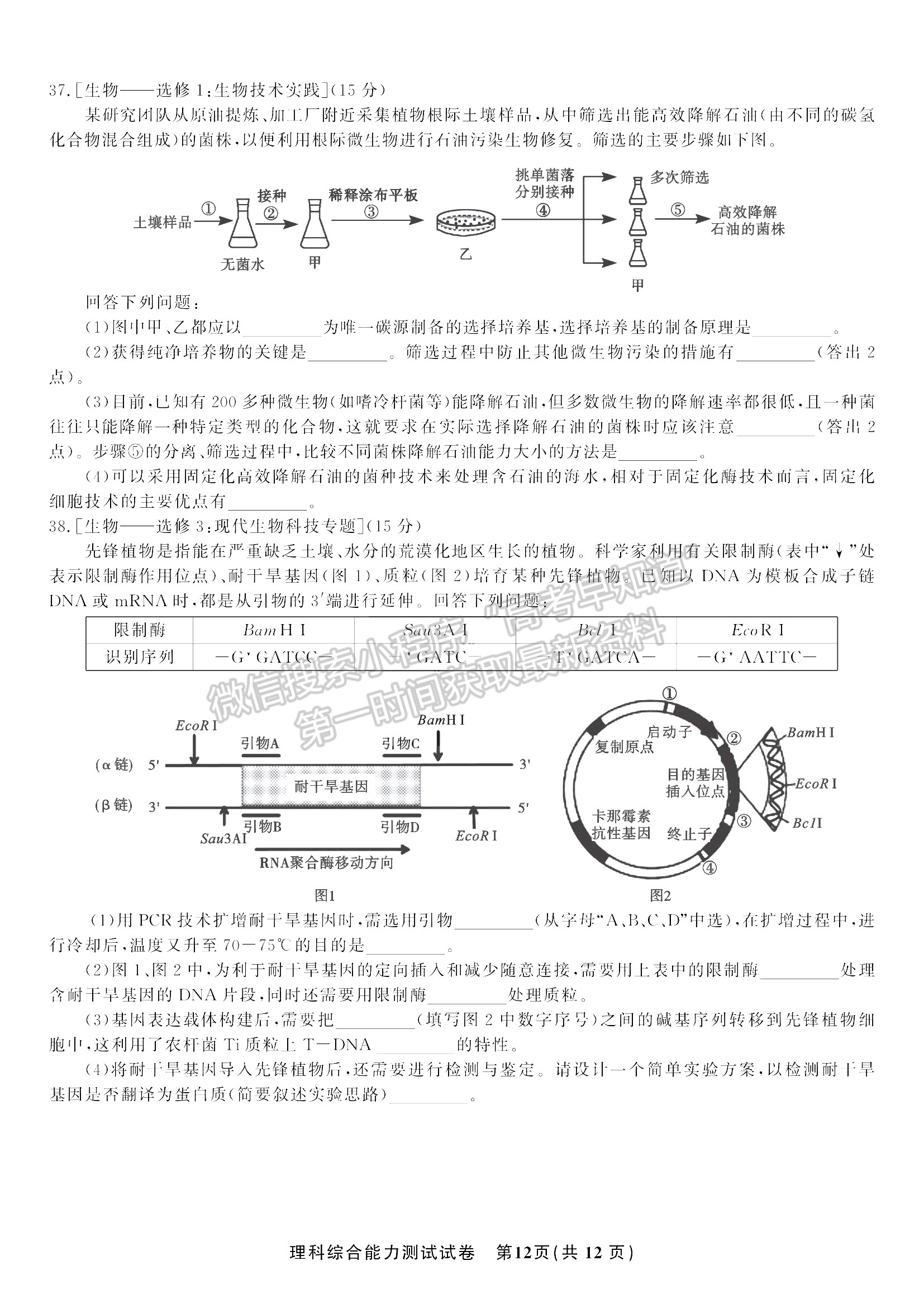 2022安徽安慶示范高中高三4月聯(lián)考理綜試卷及答案