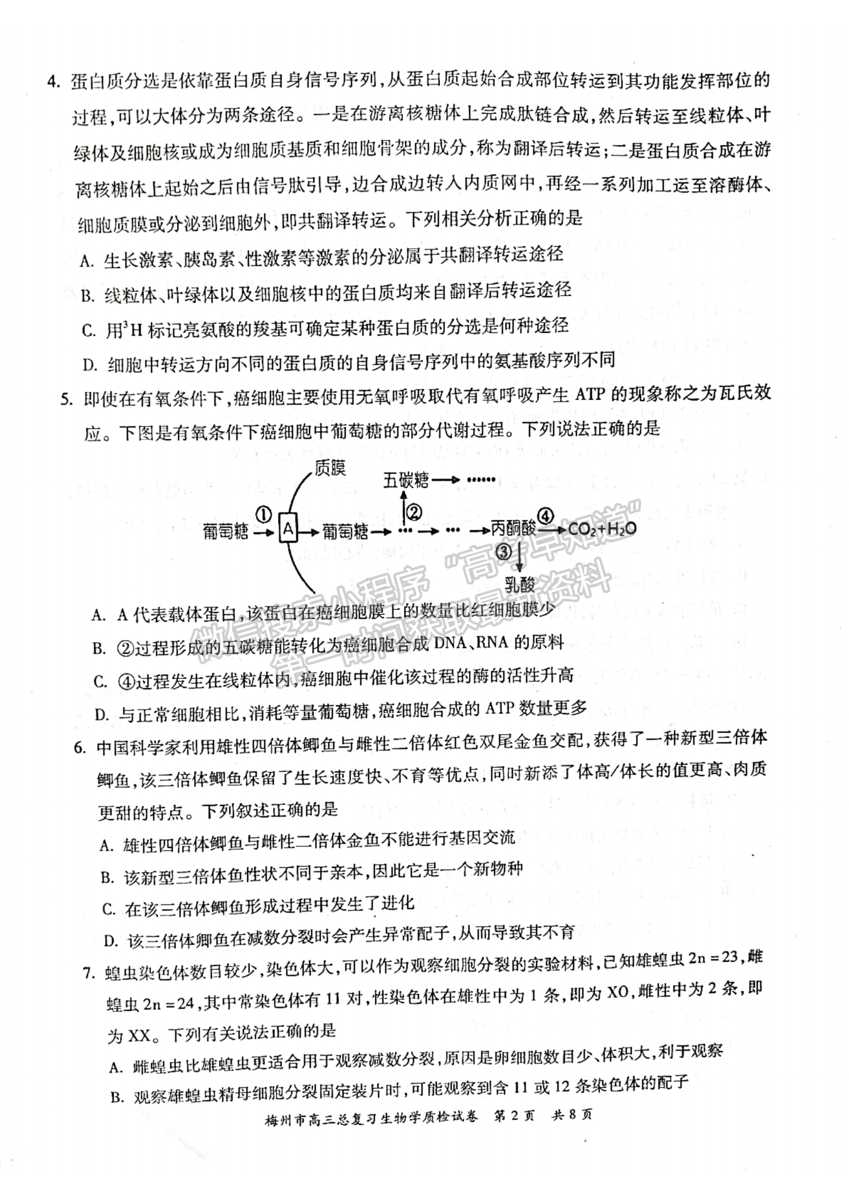 2022廣東梅州二模生物試題及參考答案