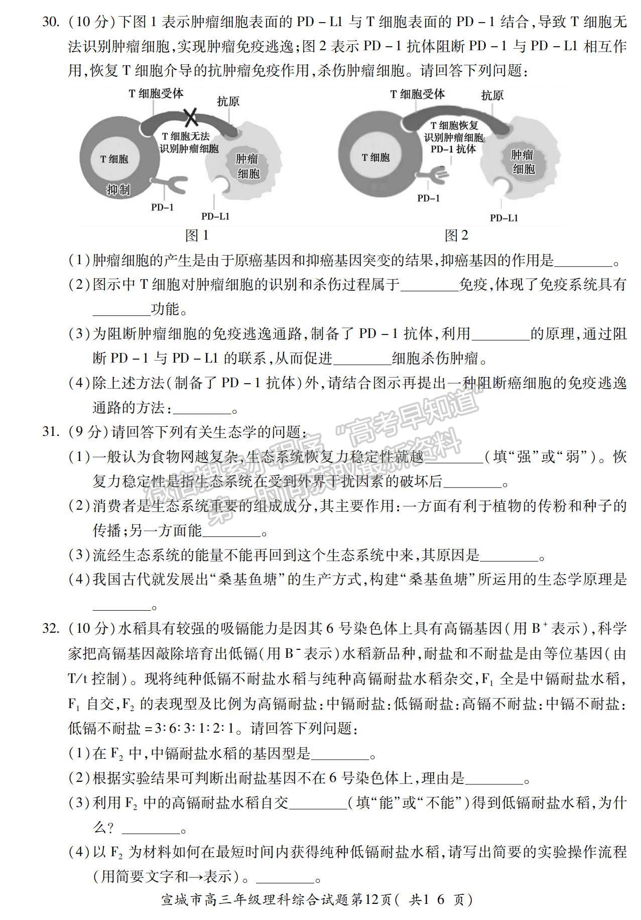 2022安徽宣城二模理綜試卷及答案