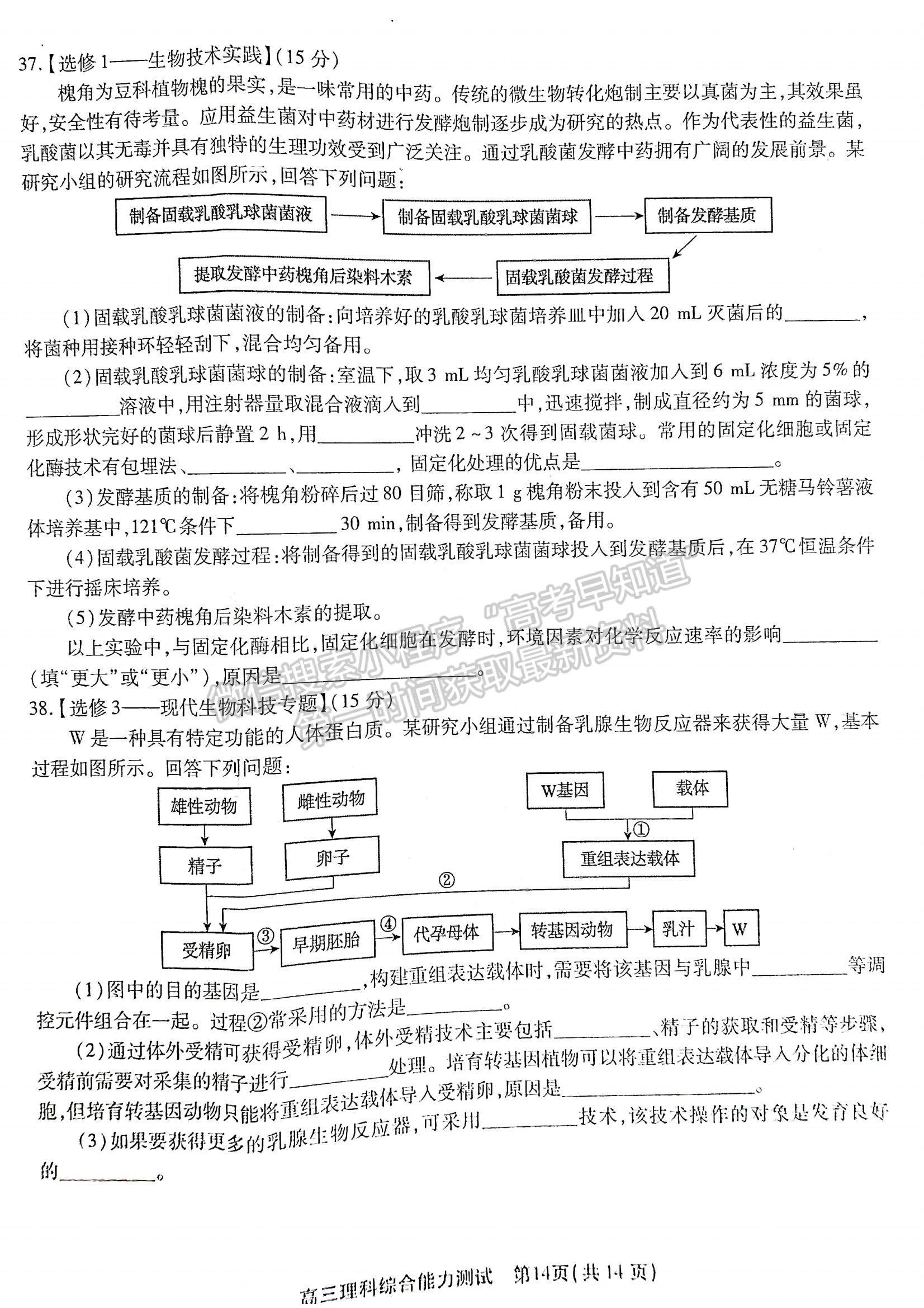 2022安徽鼎尖計劃高三4月聯(lián)考理綜試卷及答案