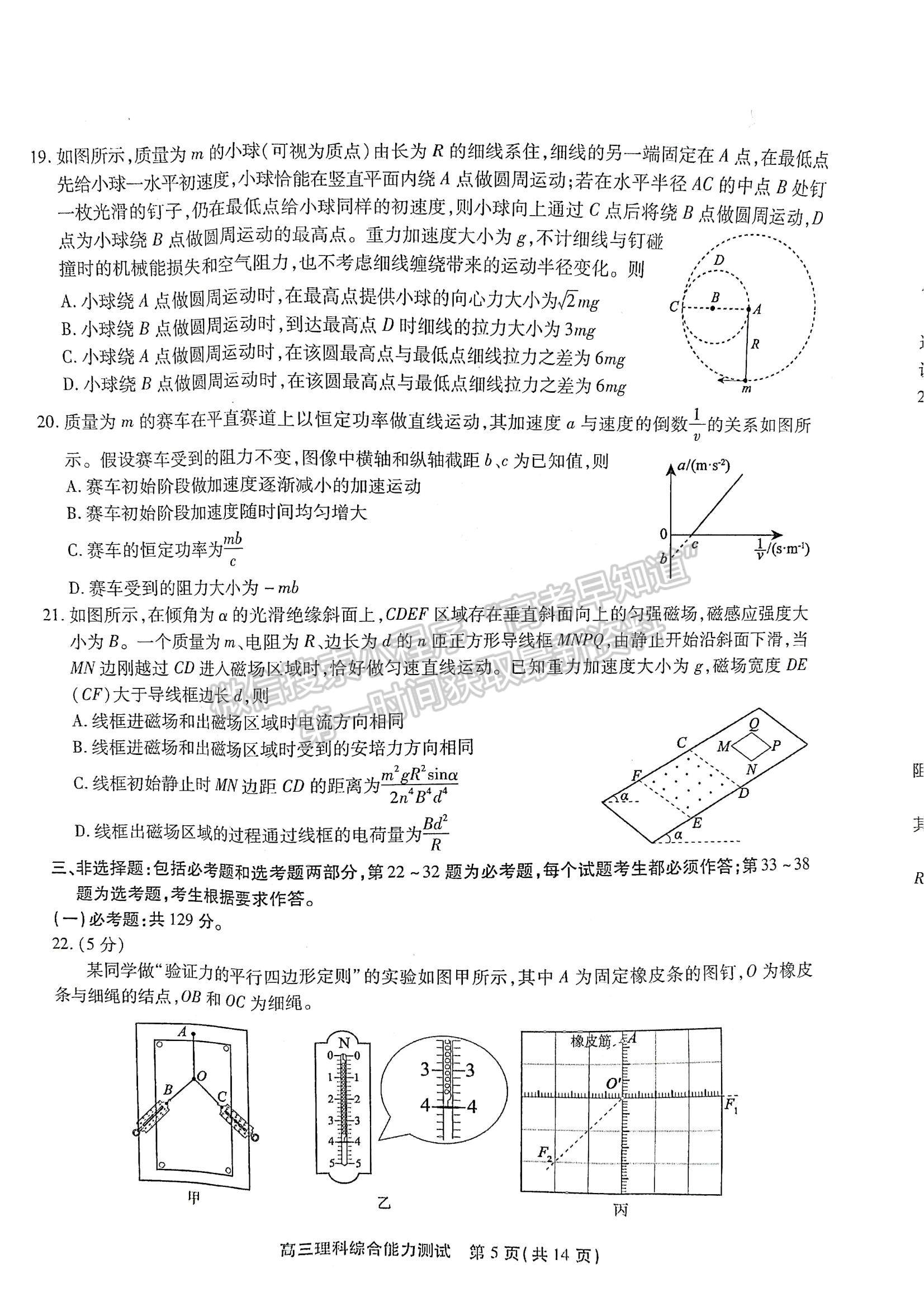 2022安徽鼎尖計(jì)劃高三4月聯(lián)考理綜試卷及答案