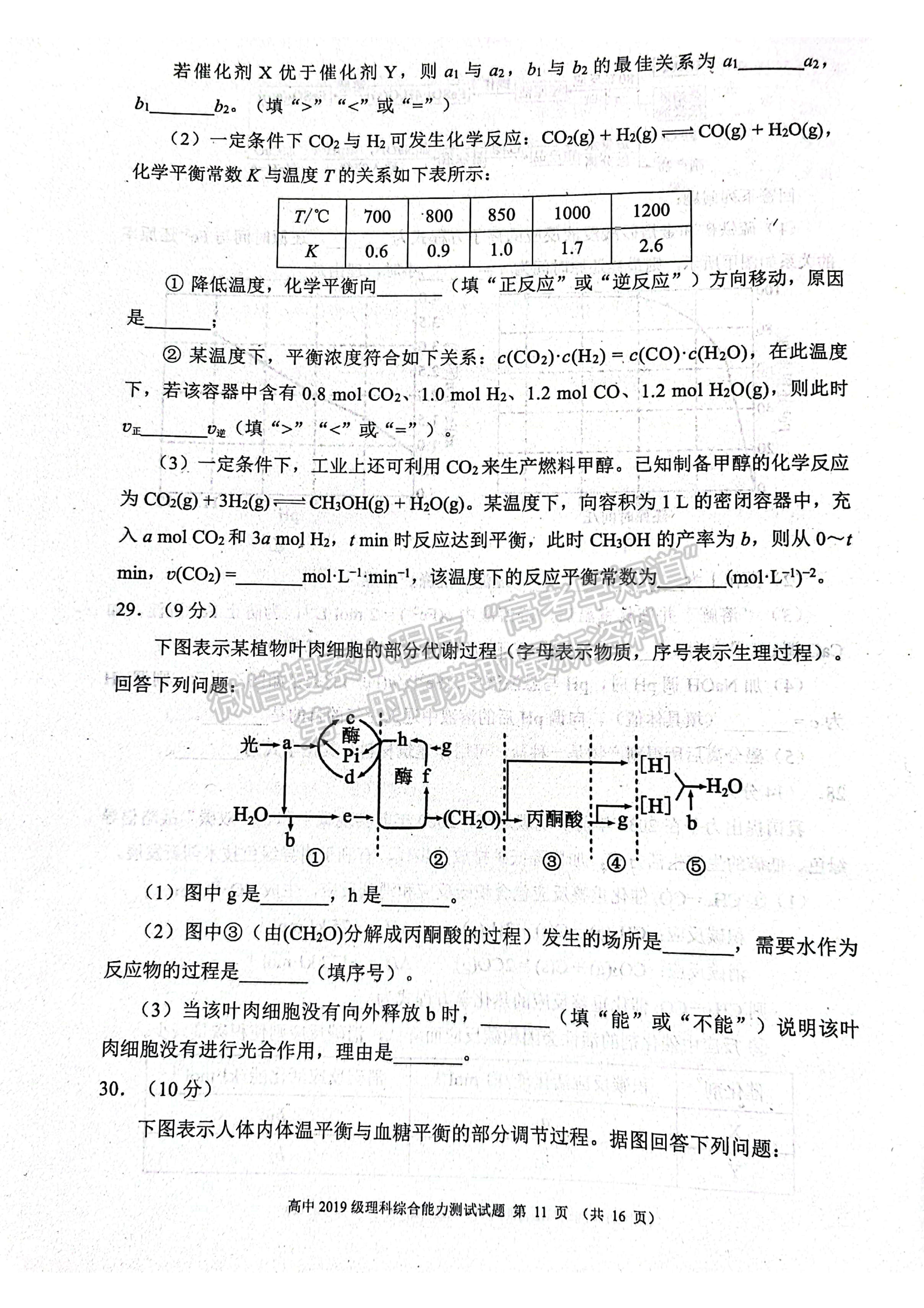 2022蓉城名校聯(lián)盟2019級高三第三次聯(lián)考理科綜合試題及答案