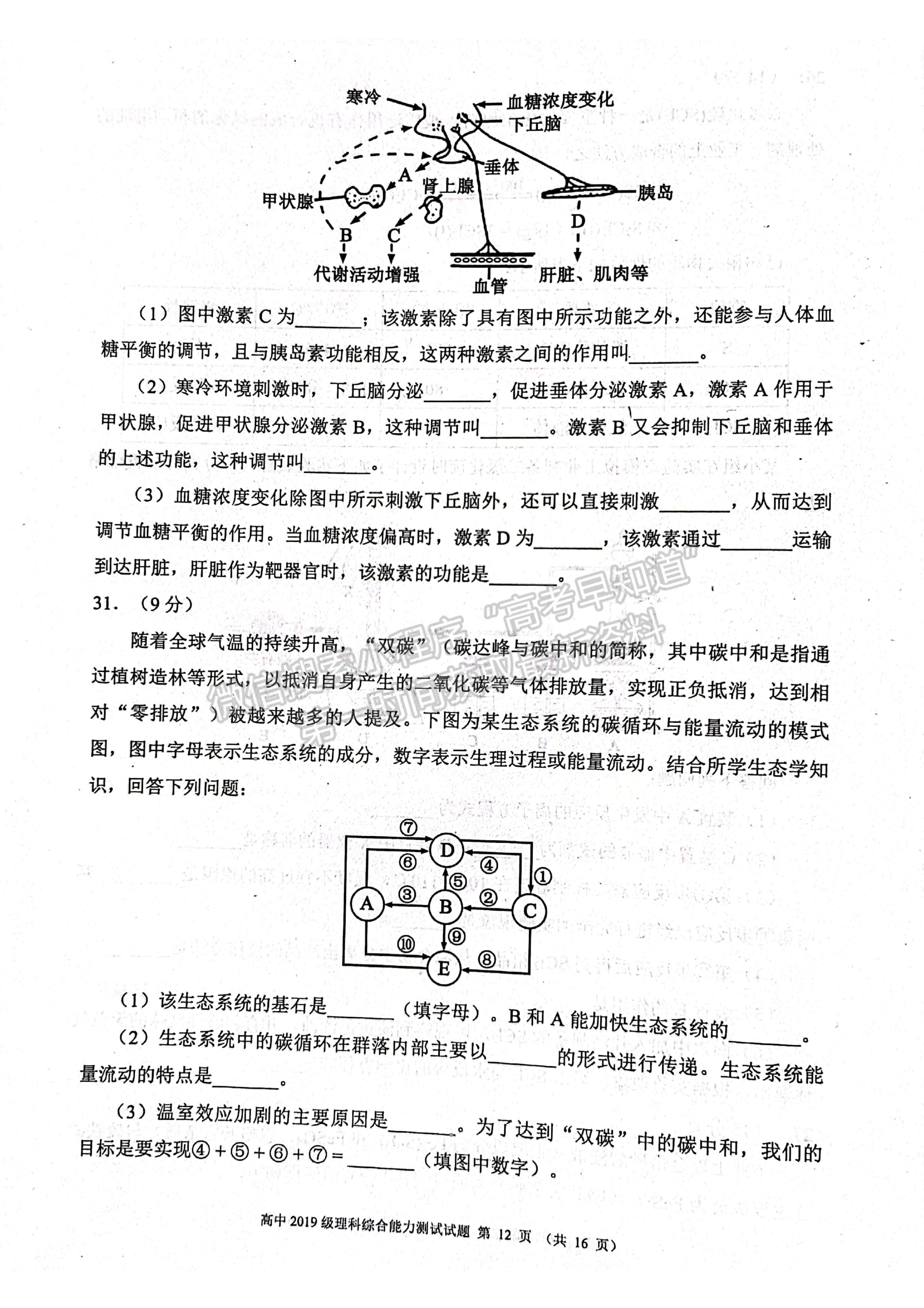 2022蓉城名校聯(lián)盟2019級高三第三次聯(lián)考理科綜合試題及答案