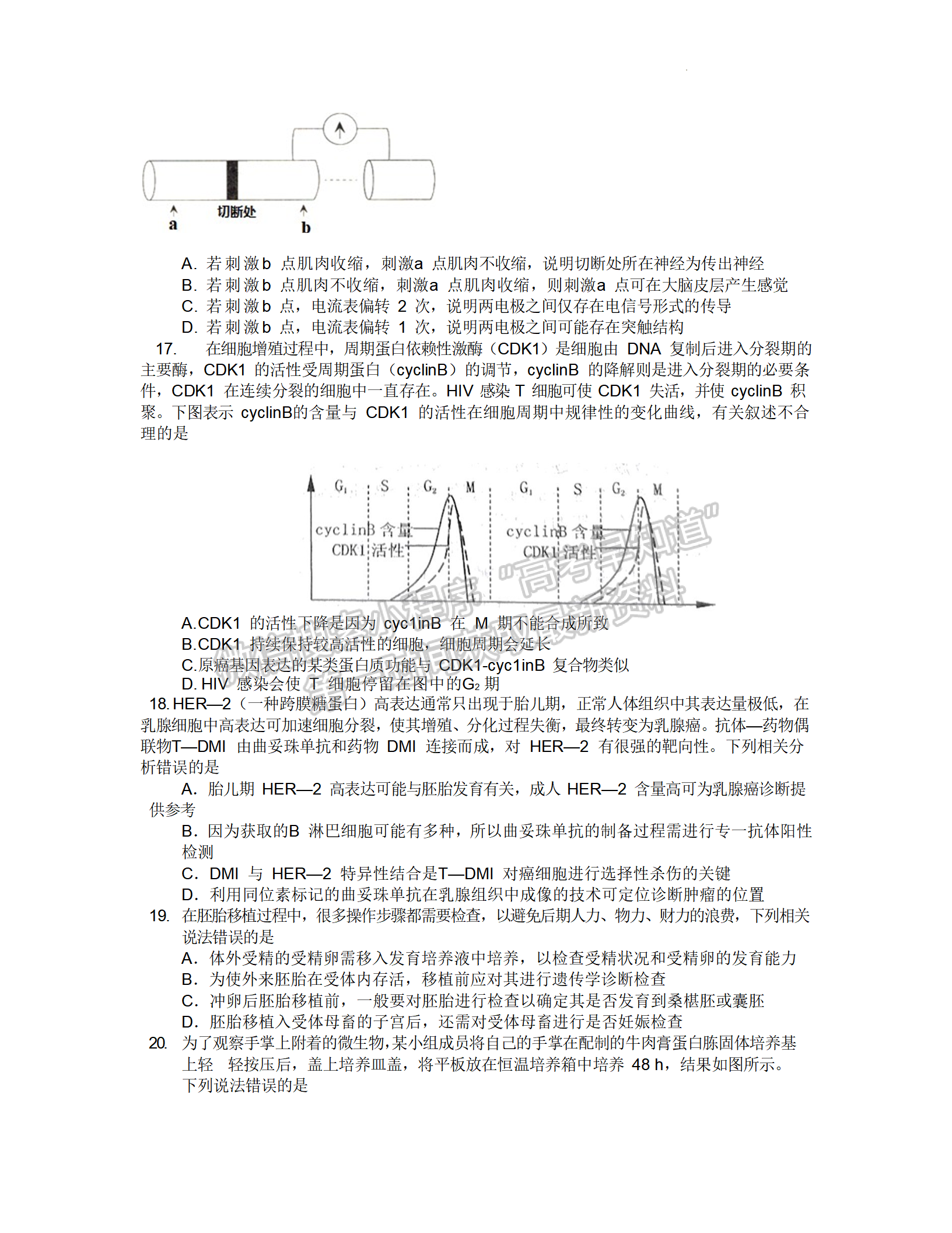 2022湖北部分重點(diǎn)中學(xué)4月聯(lián)考生物試卷及答案