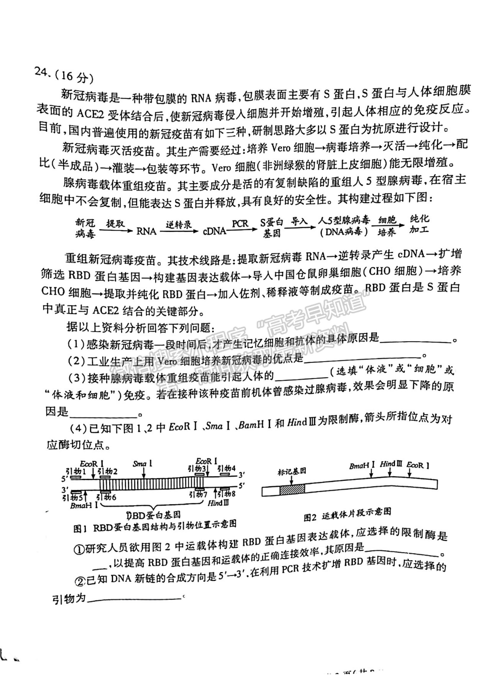 2022湖北高三4月調(diào)研模擬考試生物試卷及答案