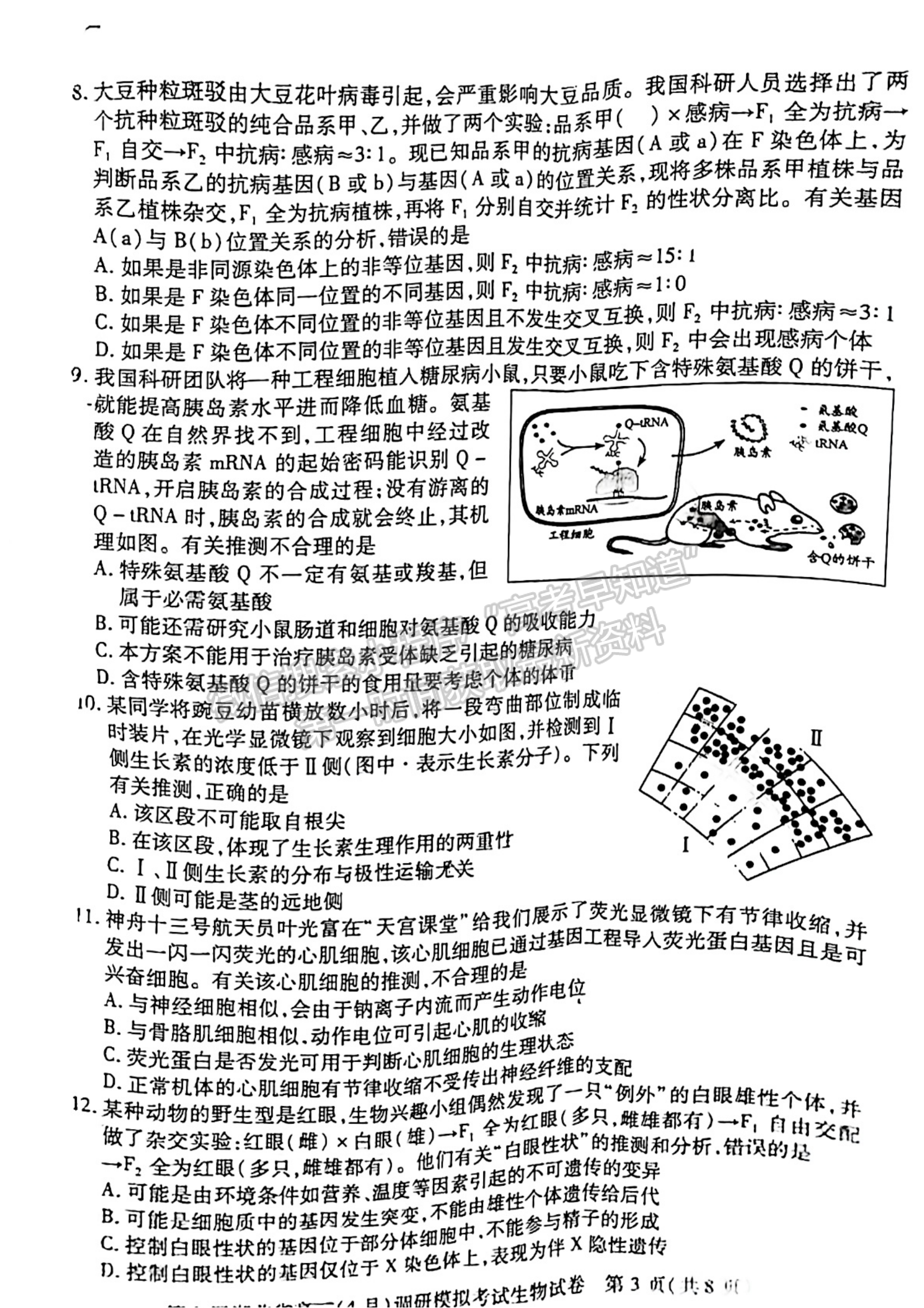 2022湖北高三4月調(diào)研模擬考試生物試卷及答案