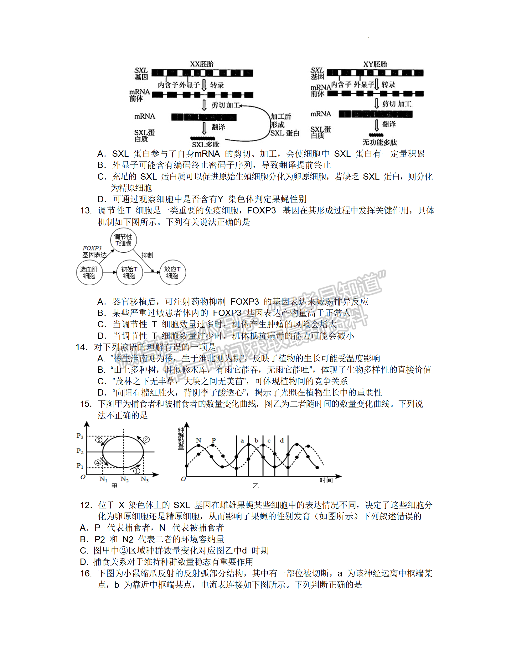 2022湖北部分重點中學(xué)4月聯(lián)考生物試卷及答案