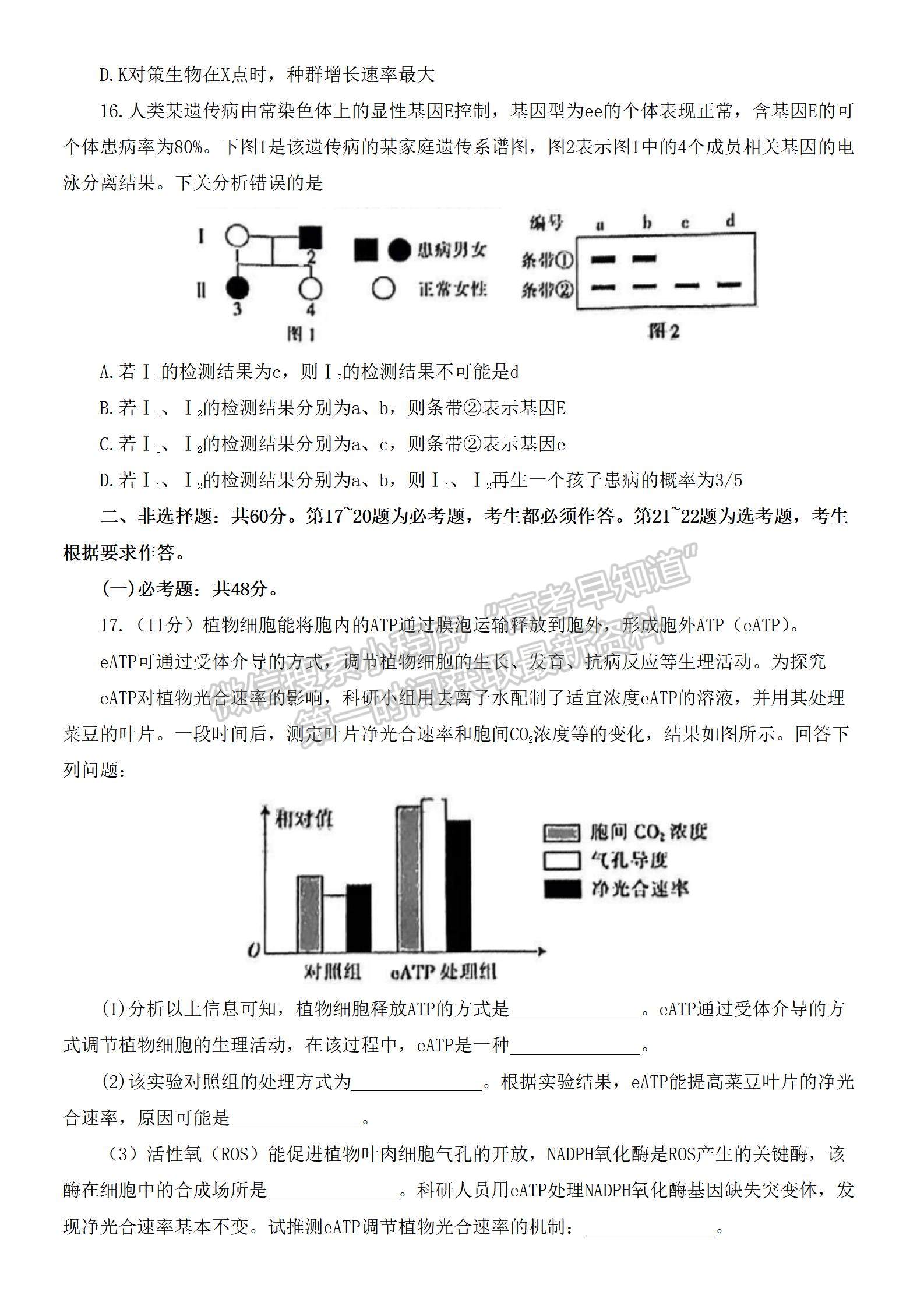 2022湛江二模生物試題及參考答案