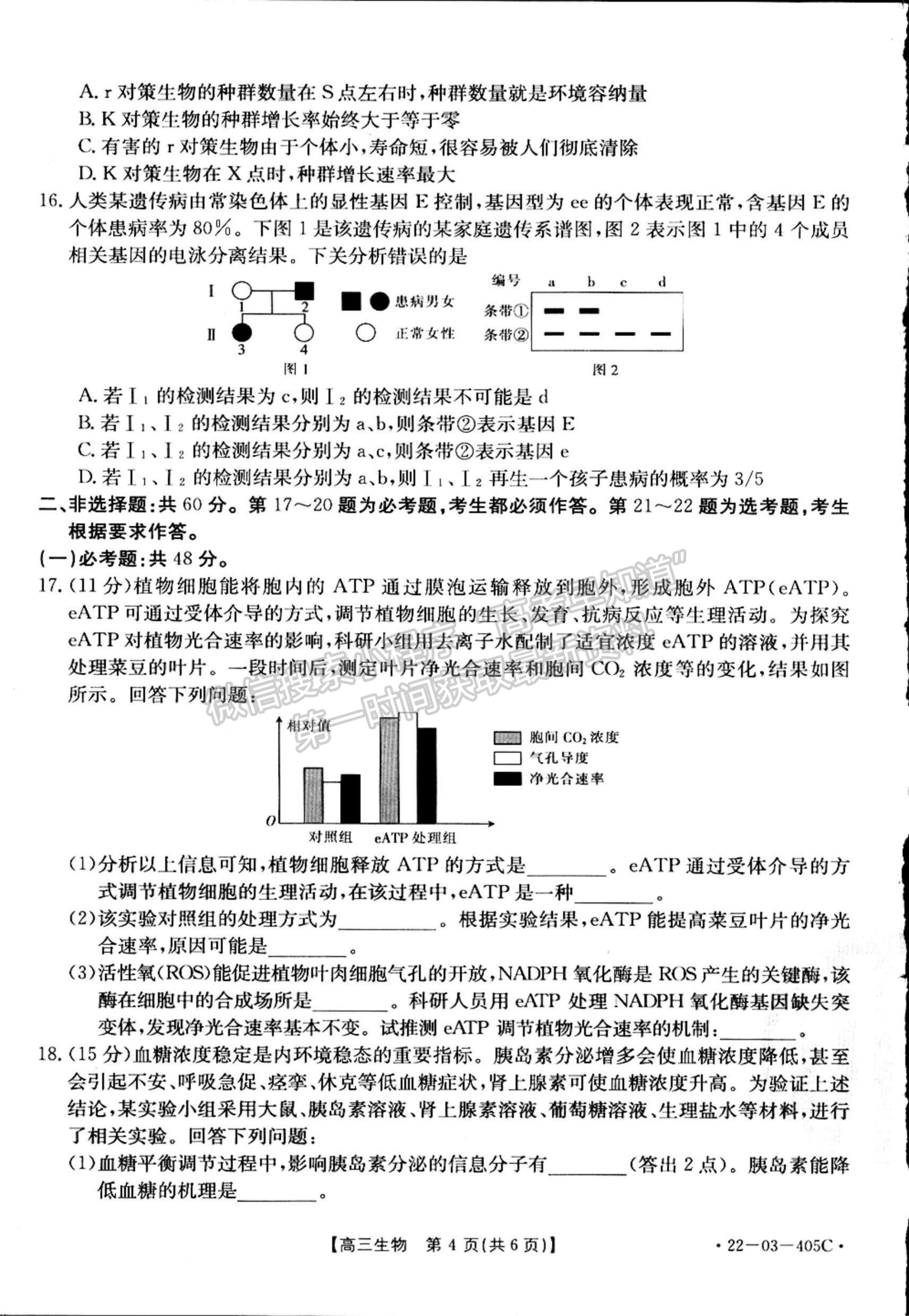 2022廣東高三4月聯(lián)考（405C）生物試題及參考答案