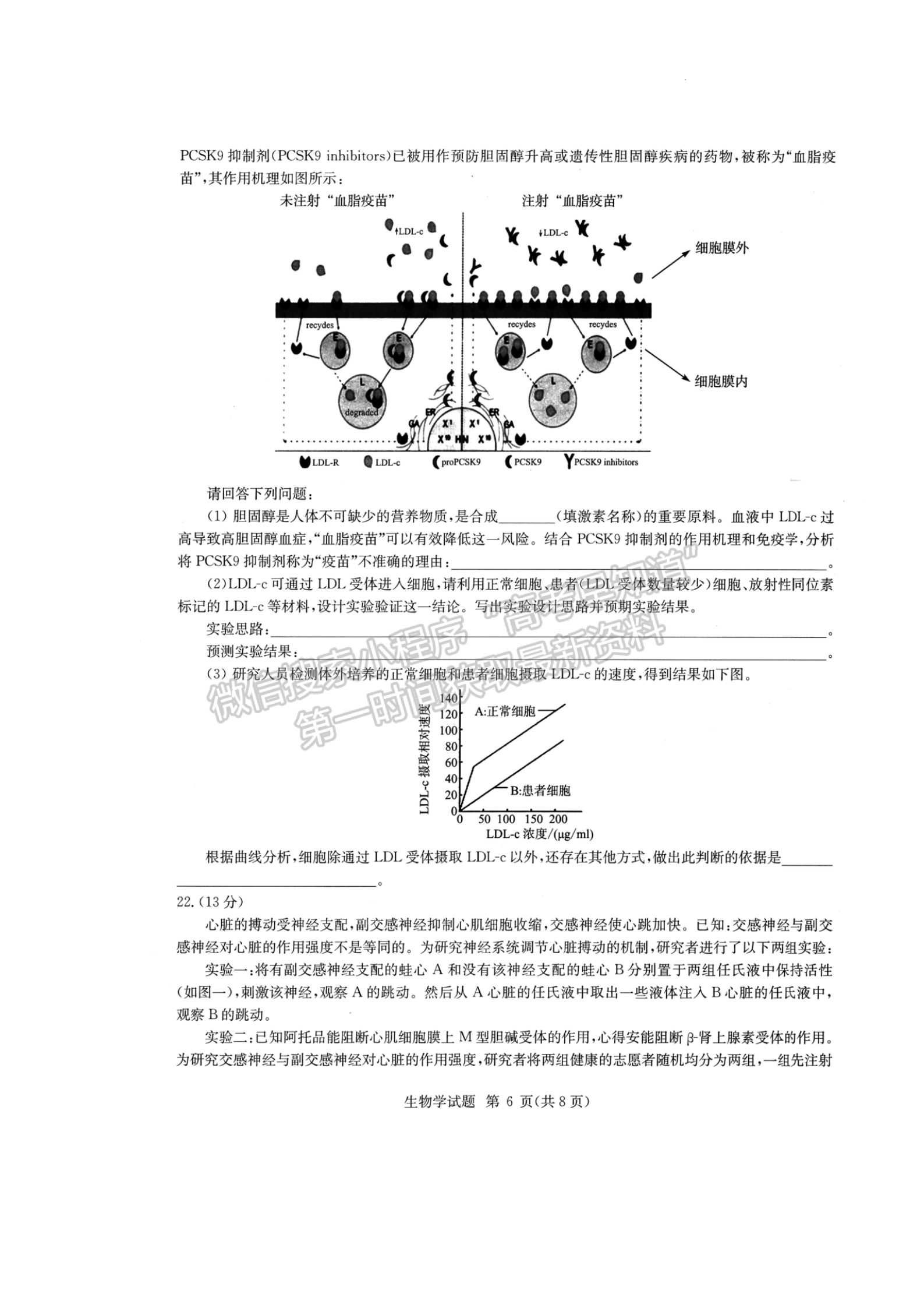 2022華大新高考聯(lián)盟高三3月質(zhì)量測(cè)評(píng)（新高考卷）生物試卷及答案