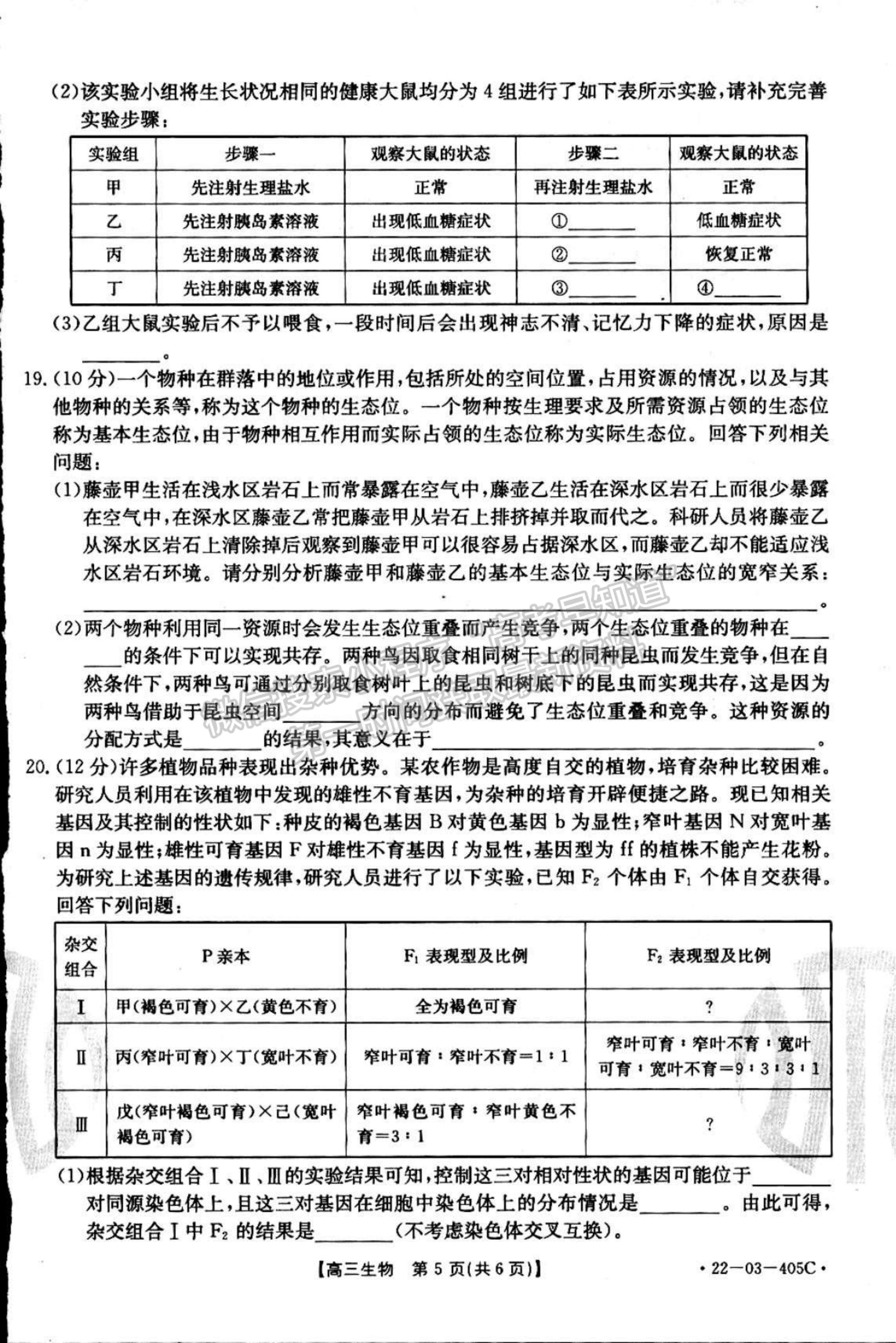 2022廣東高三4月聯(lián)考（405C）生物試題及參考答案