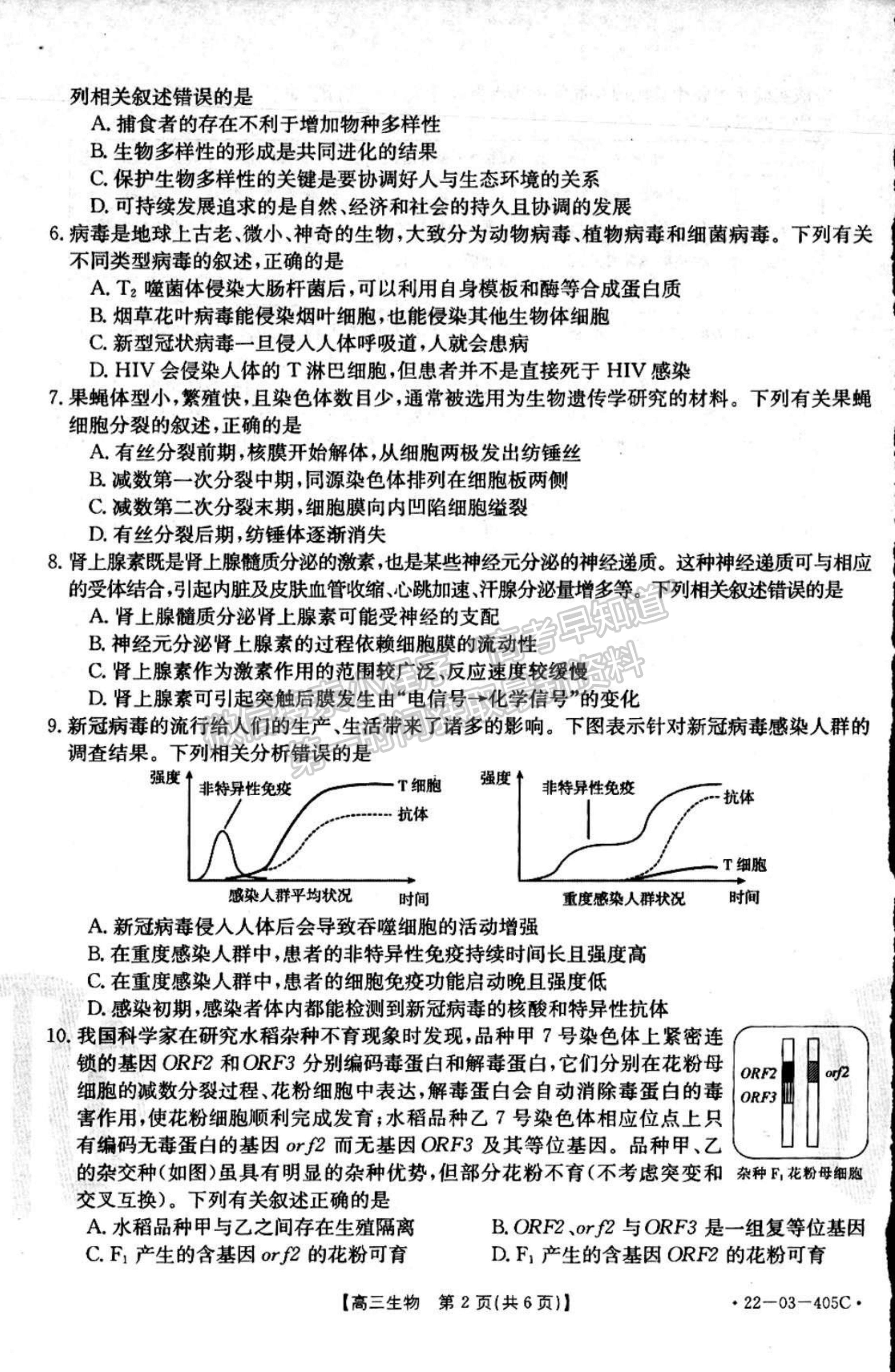 2022廣東高三4月聯(lián)考（405C）生物試題及參考答案