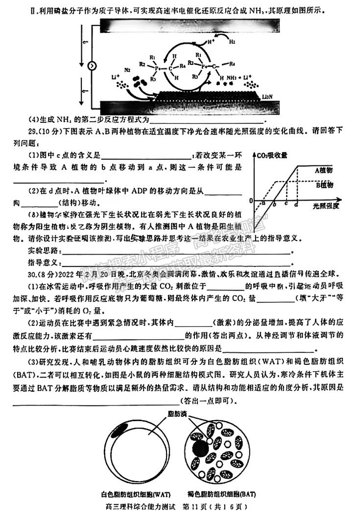 2022河南省六市第二次聯(lián)考理綜試卷及參考答案