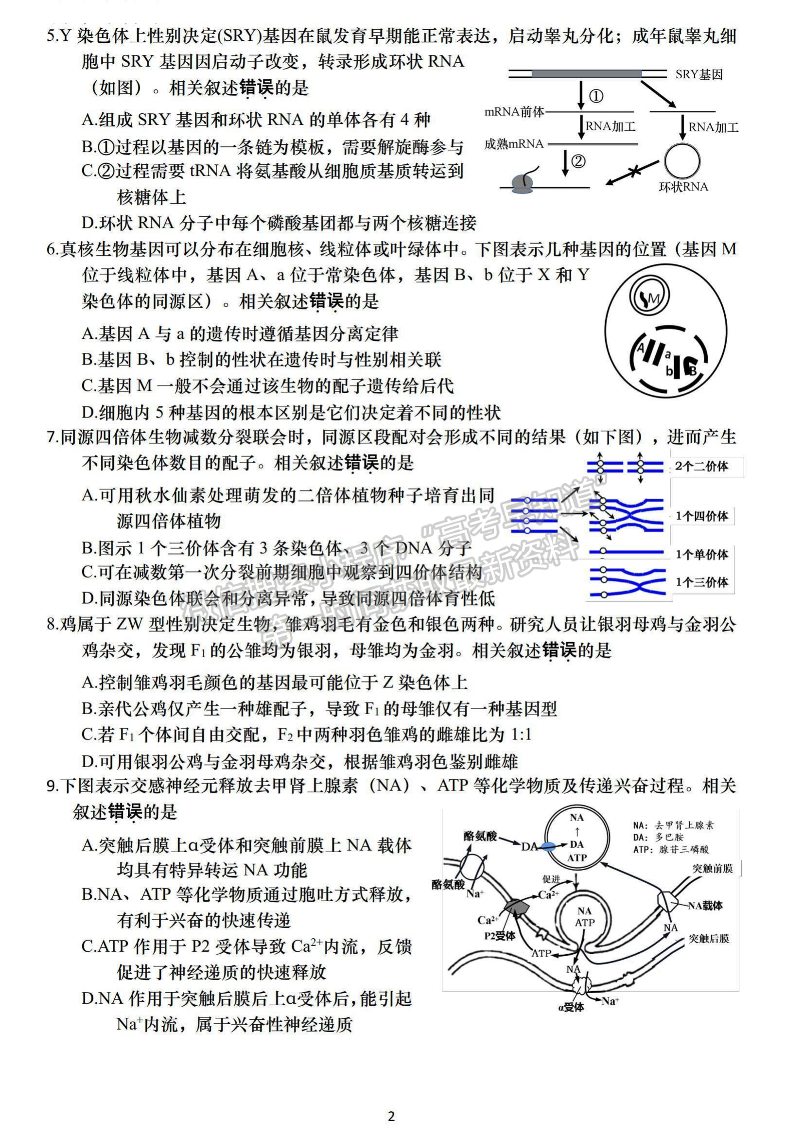 2022屆江蘇高三4月決勝新高考大聯(lián)考生物試題及參考答案