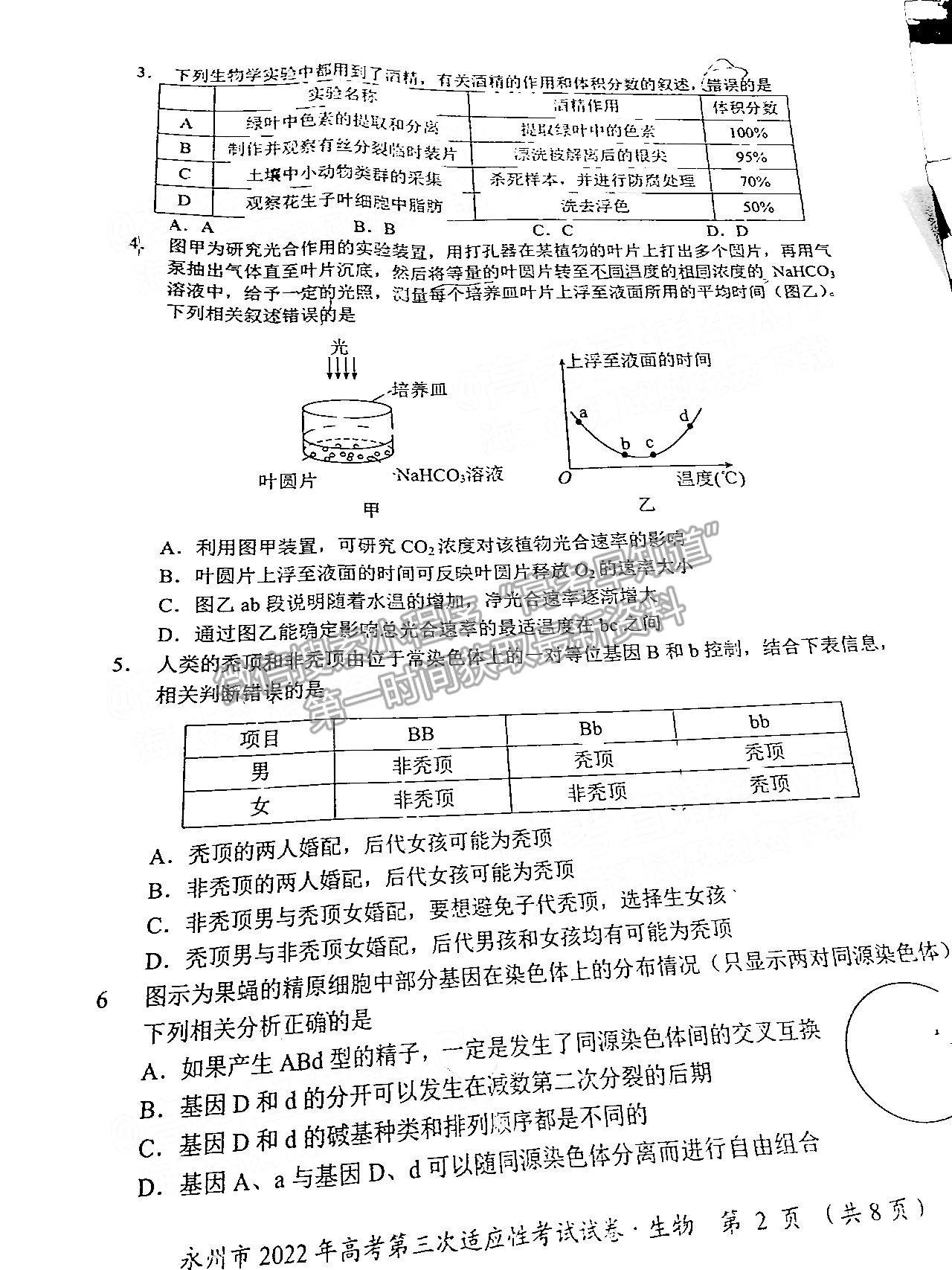 湖南省永州市2022屆高三第三次適應性考試（永州三模）生物試卷及答案