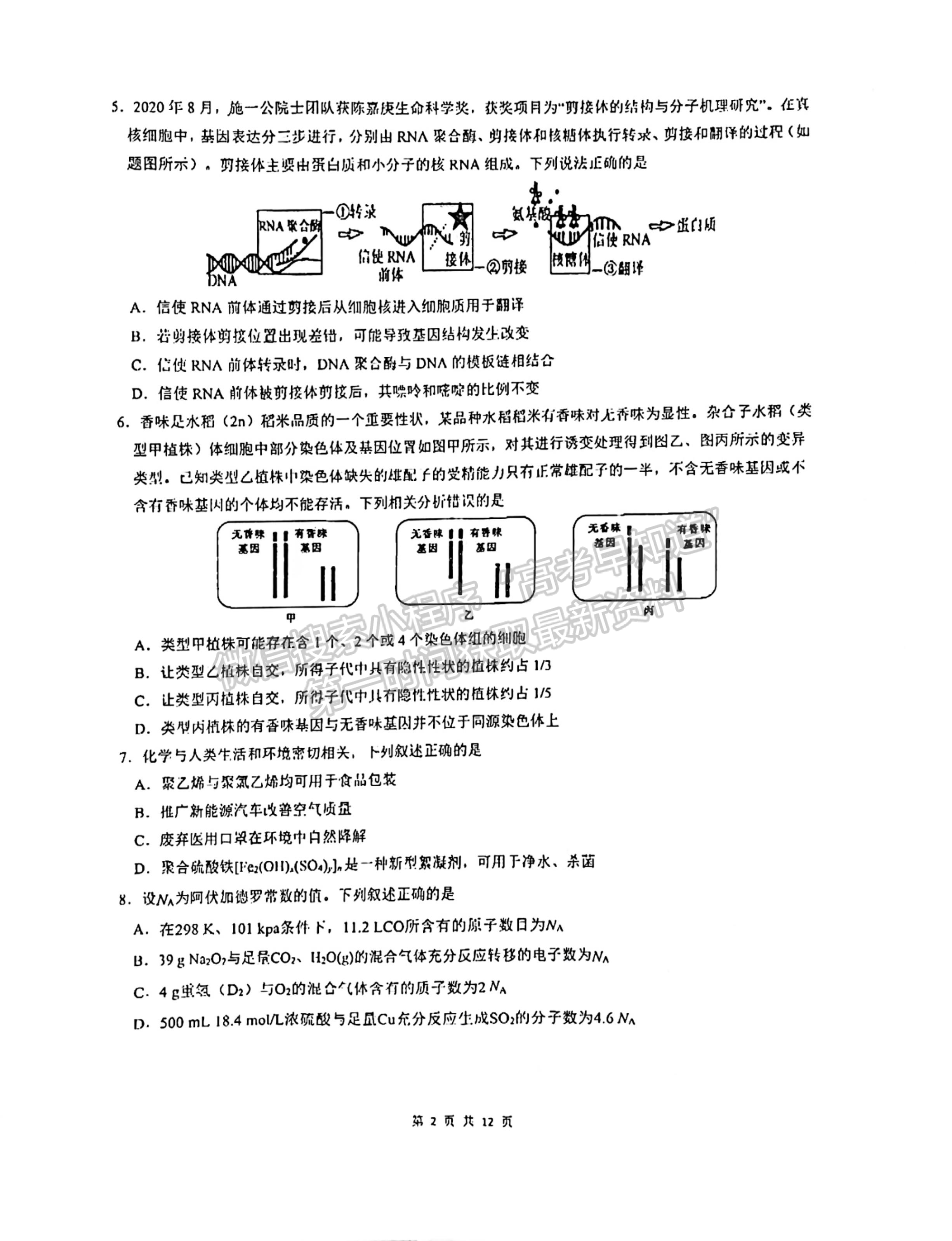 2022成都七中2021-2022學(xué)年度下期高2022屆三診模擬考試?yán)砜凭C合試題及答案