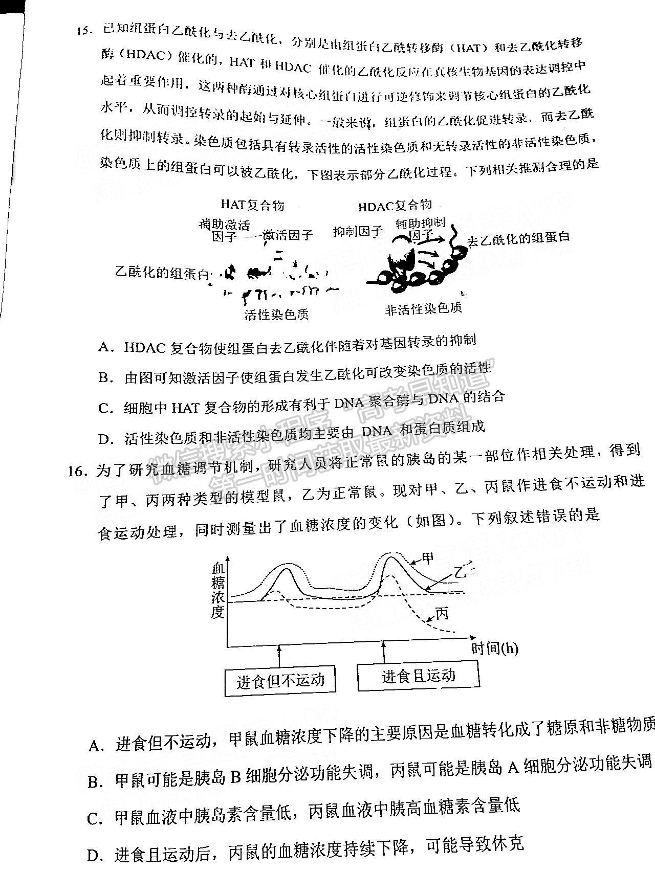 湖南省永州市2022屆高三第三次適應(yīng)性考試（永州三模）生物試卷及答案