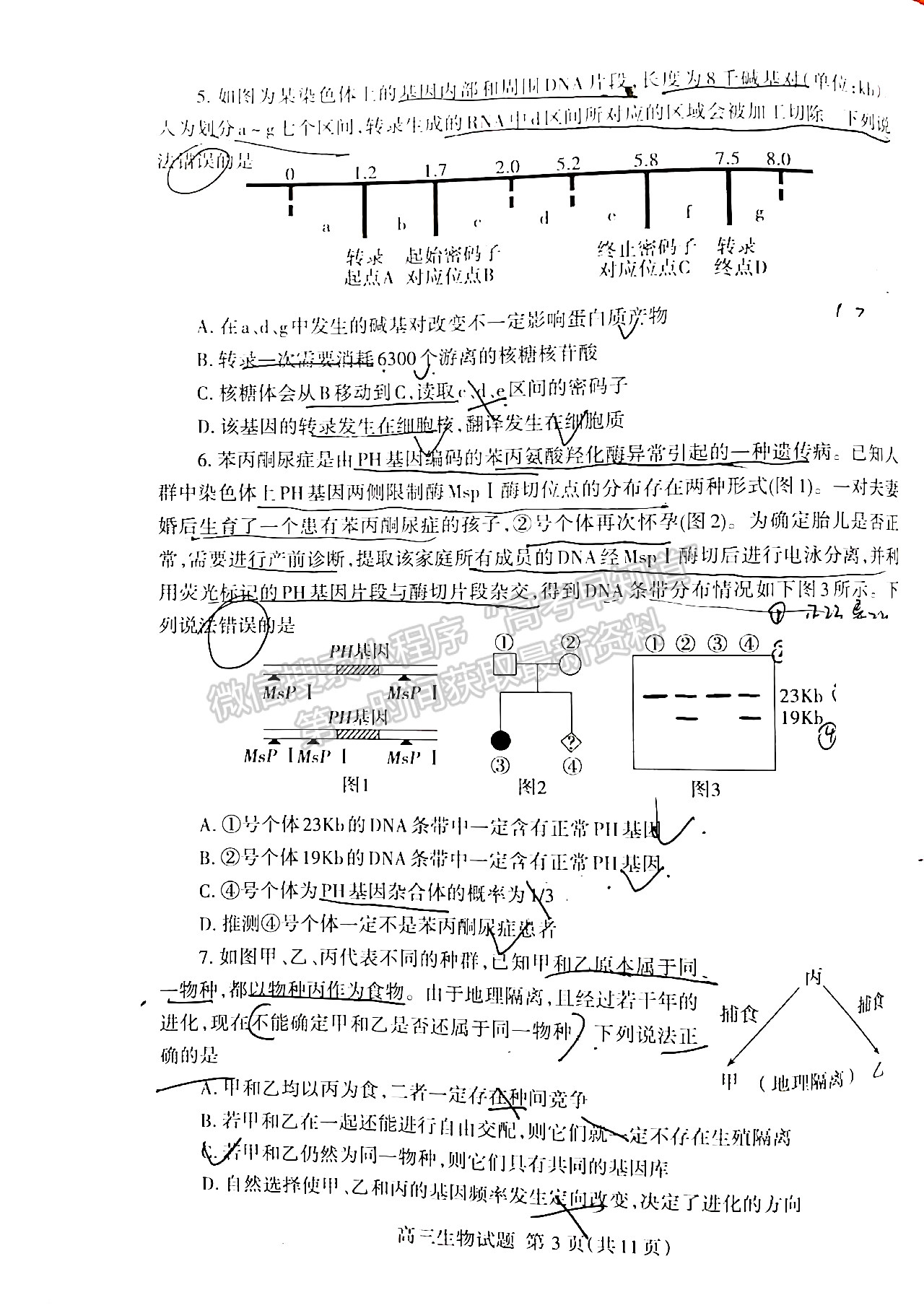 2022山東泰安二模生物試題及參考答案