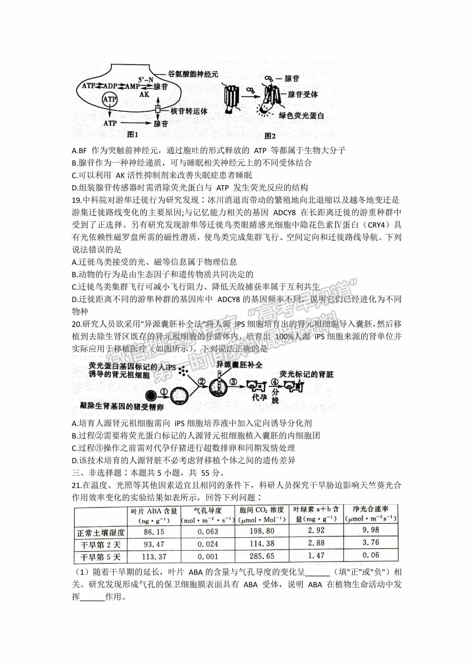 2022山東聊城二模生物試題及參考答案