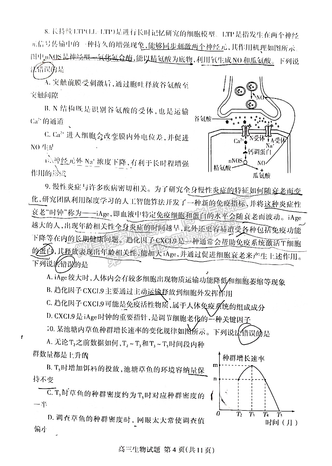 2022山東泰安二模生物試題及參考答案