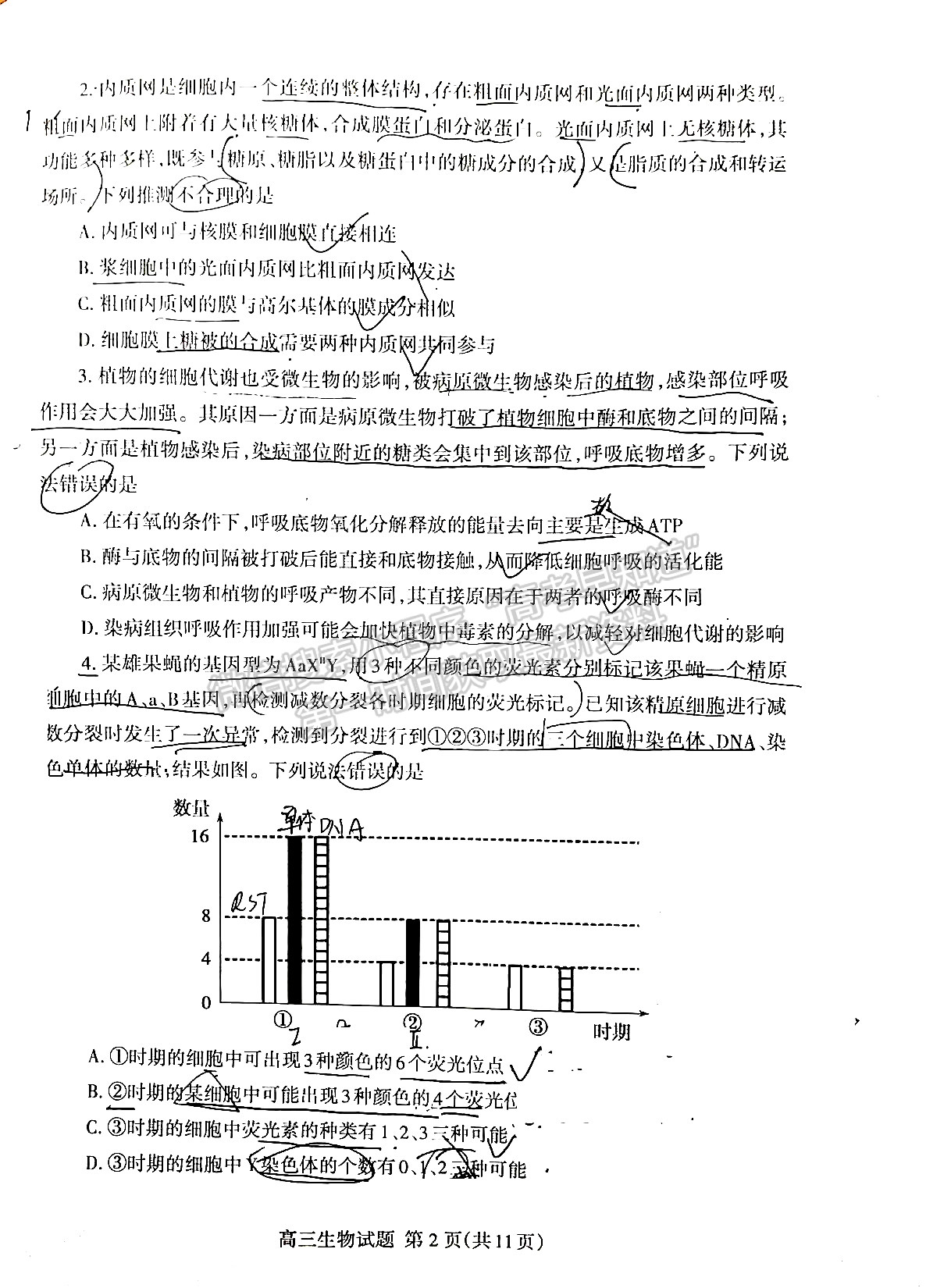 2022山東泰安二模生物試題及參考答案