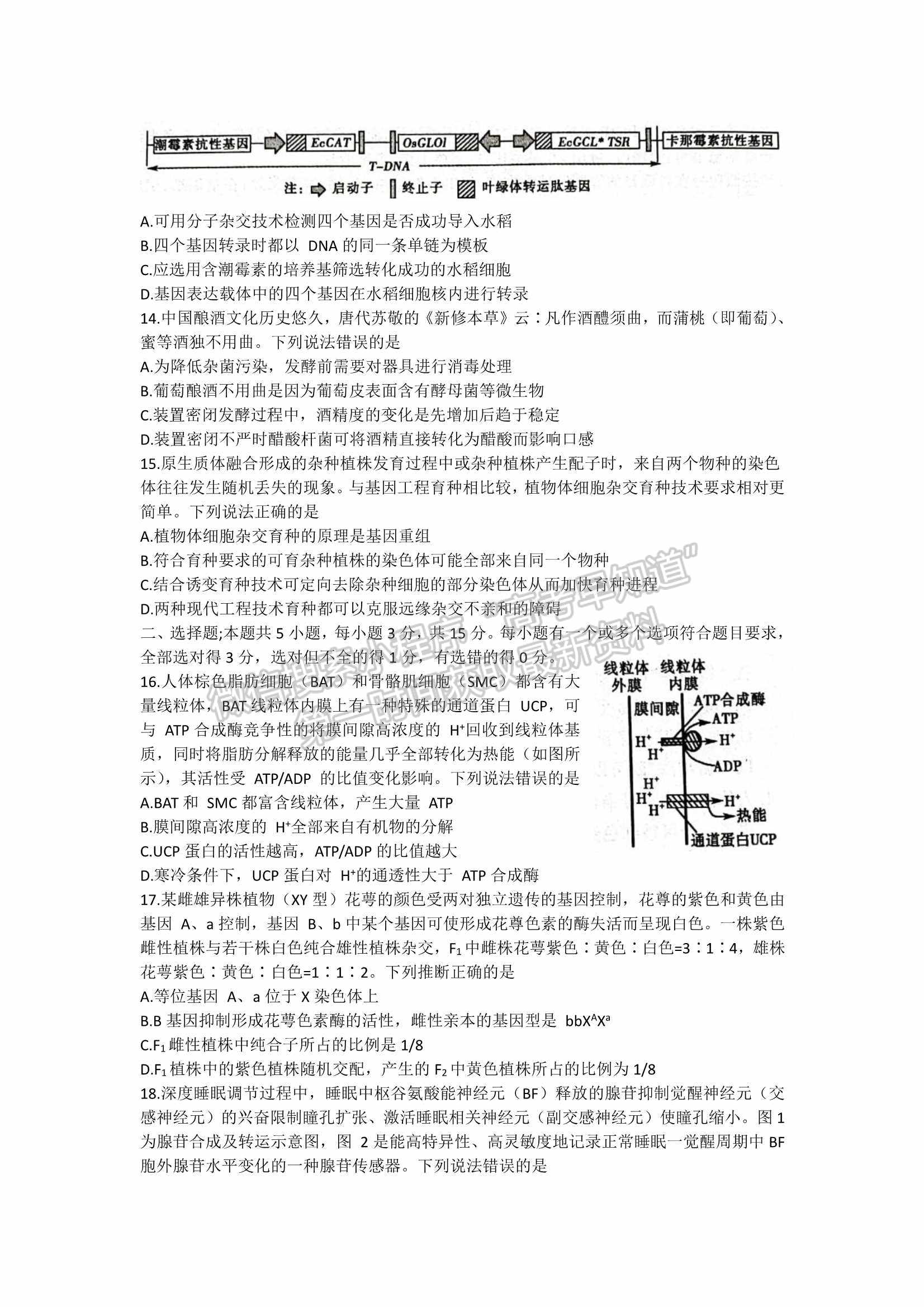 2022山東聊城二模生物試題及參考答案