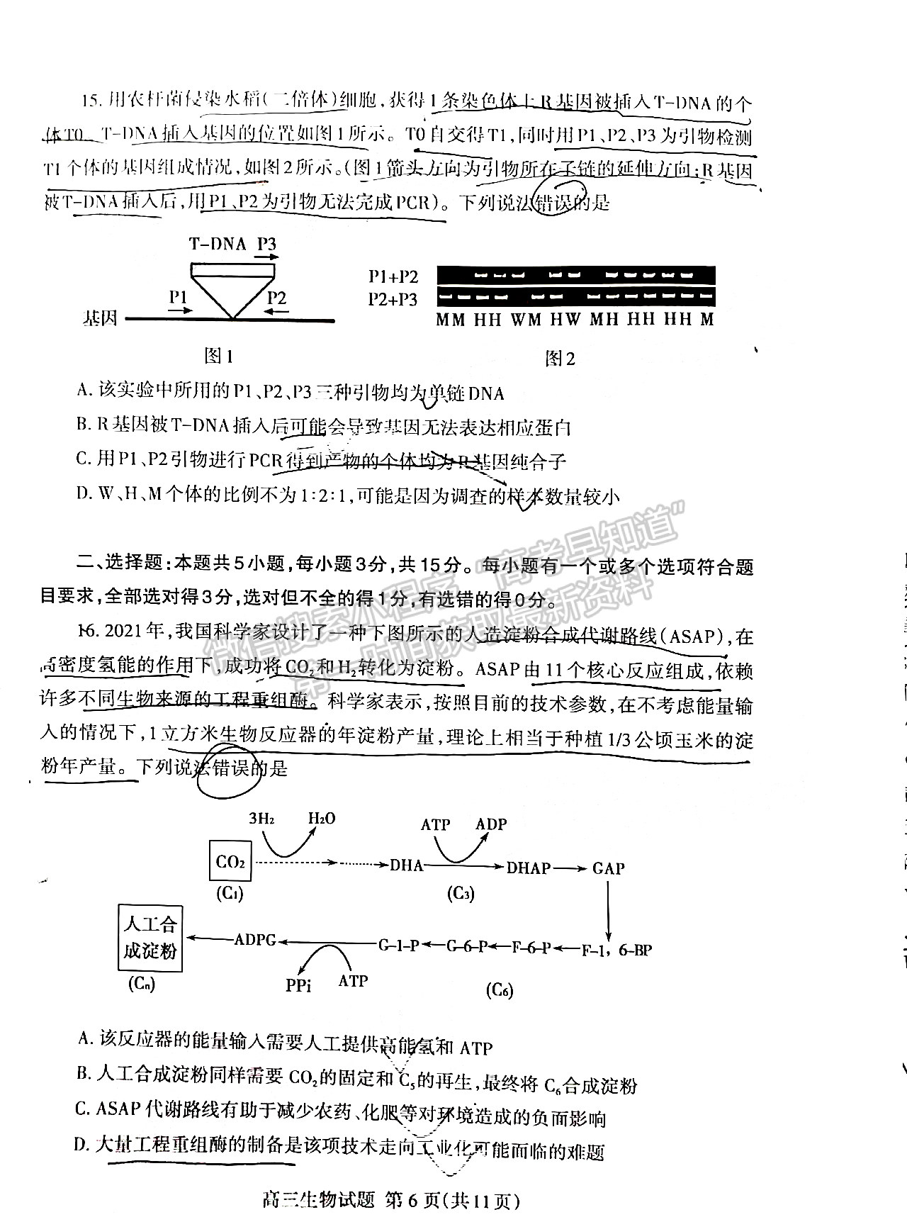 2022山東泰安二模生物試題及參考答案