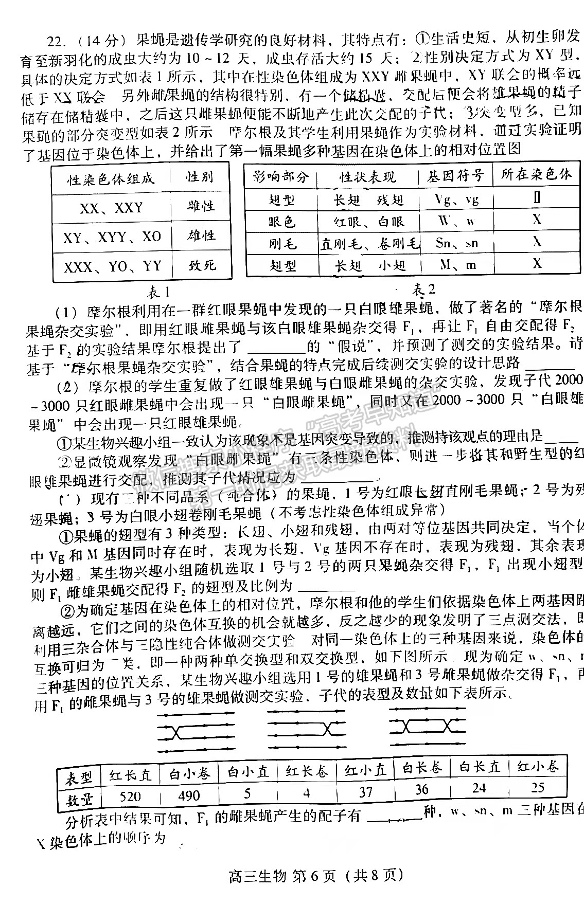 2022山東濰坊二模生物試題及參考答案