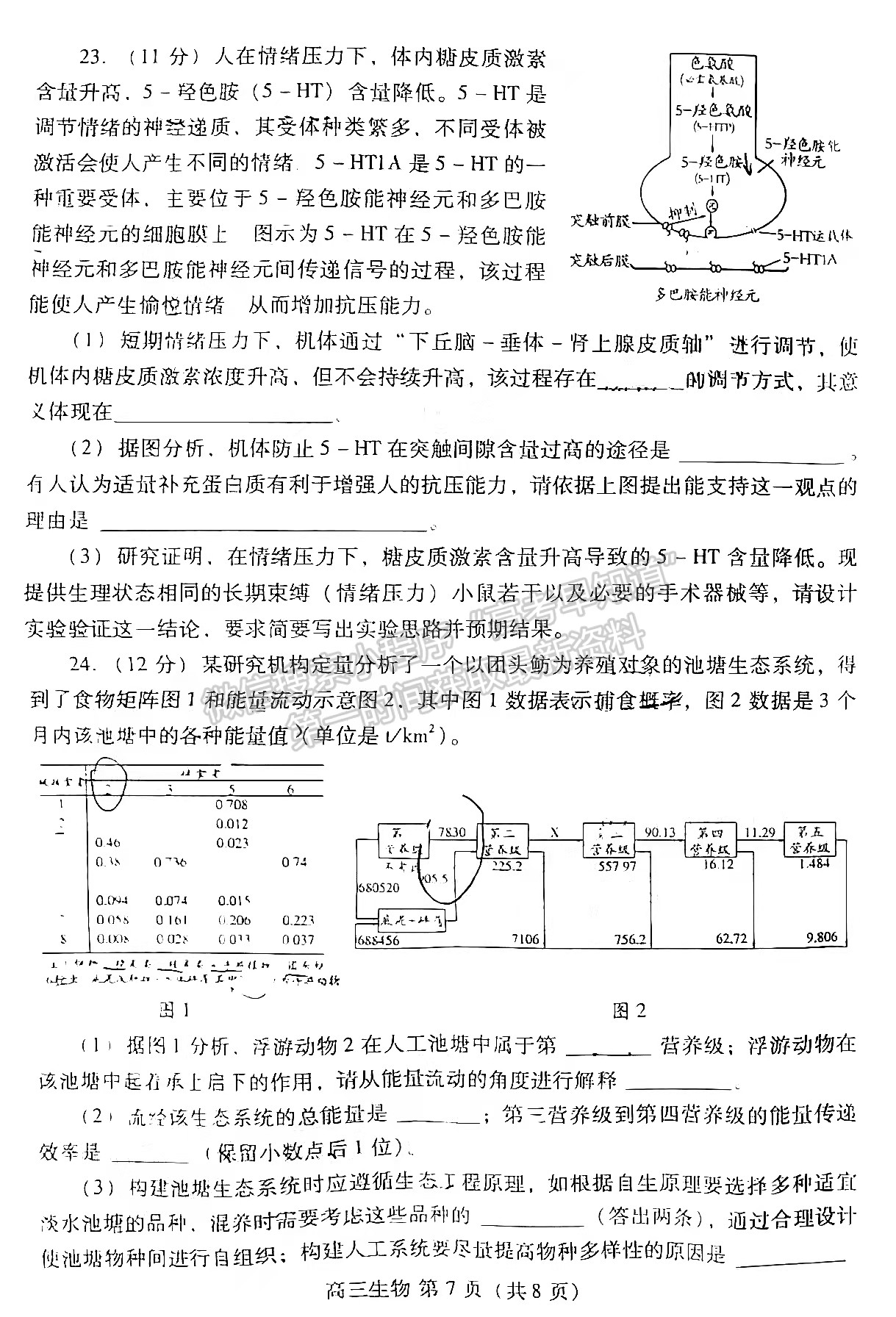 2022山東濰坊二模生物試題及參考答案