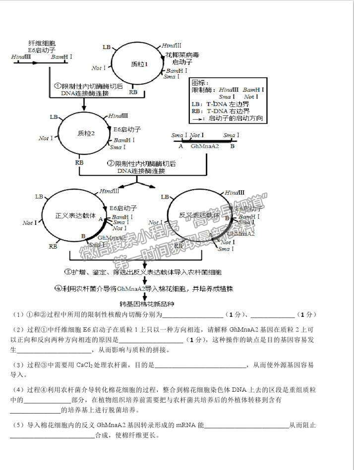 2021江西紅色七校（分宜中學、會昌中學等）高三第二次聯(lián)考理科綜合試題及參考答案